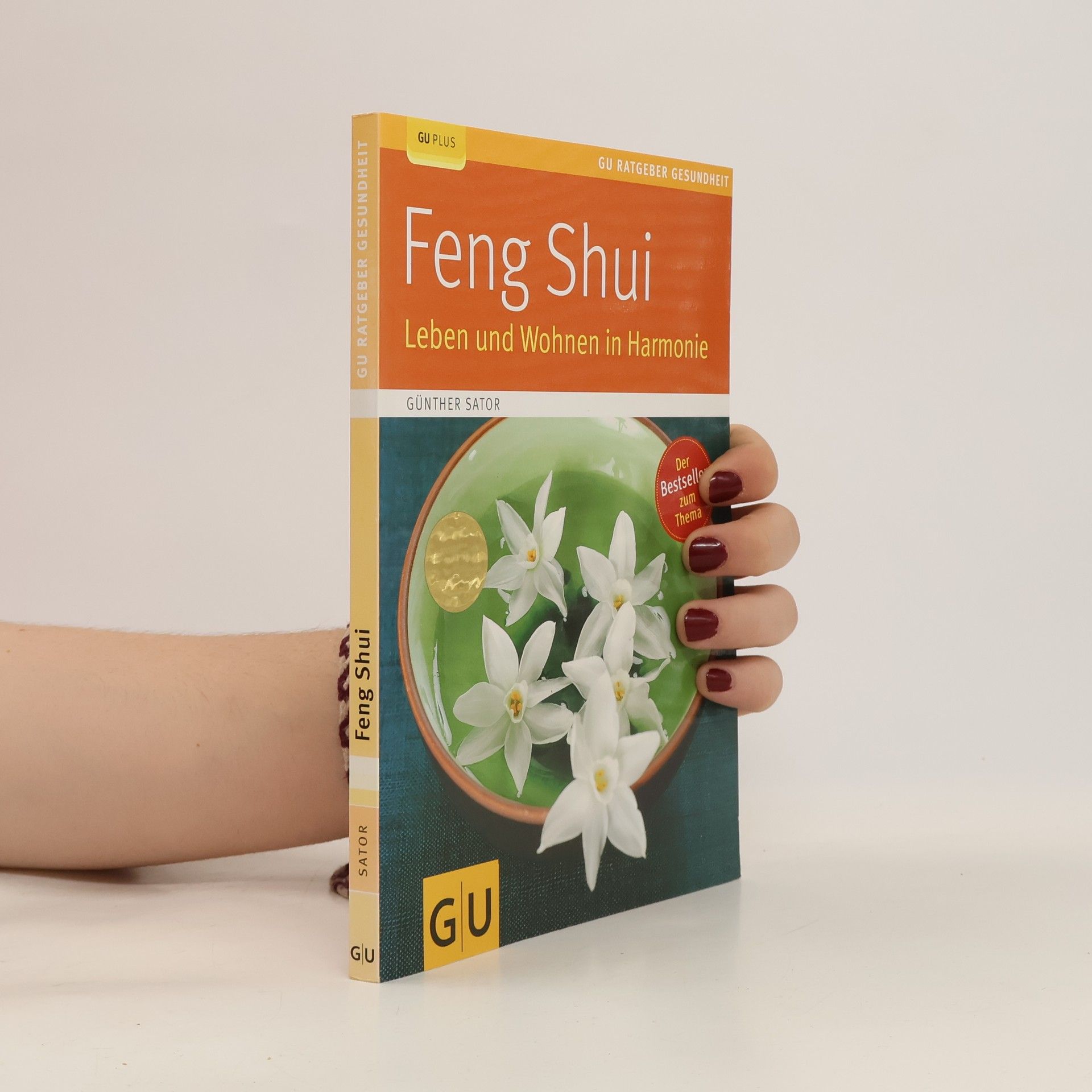 Günther Sator Feng-Shui
