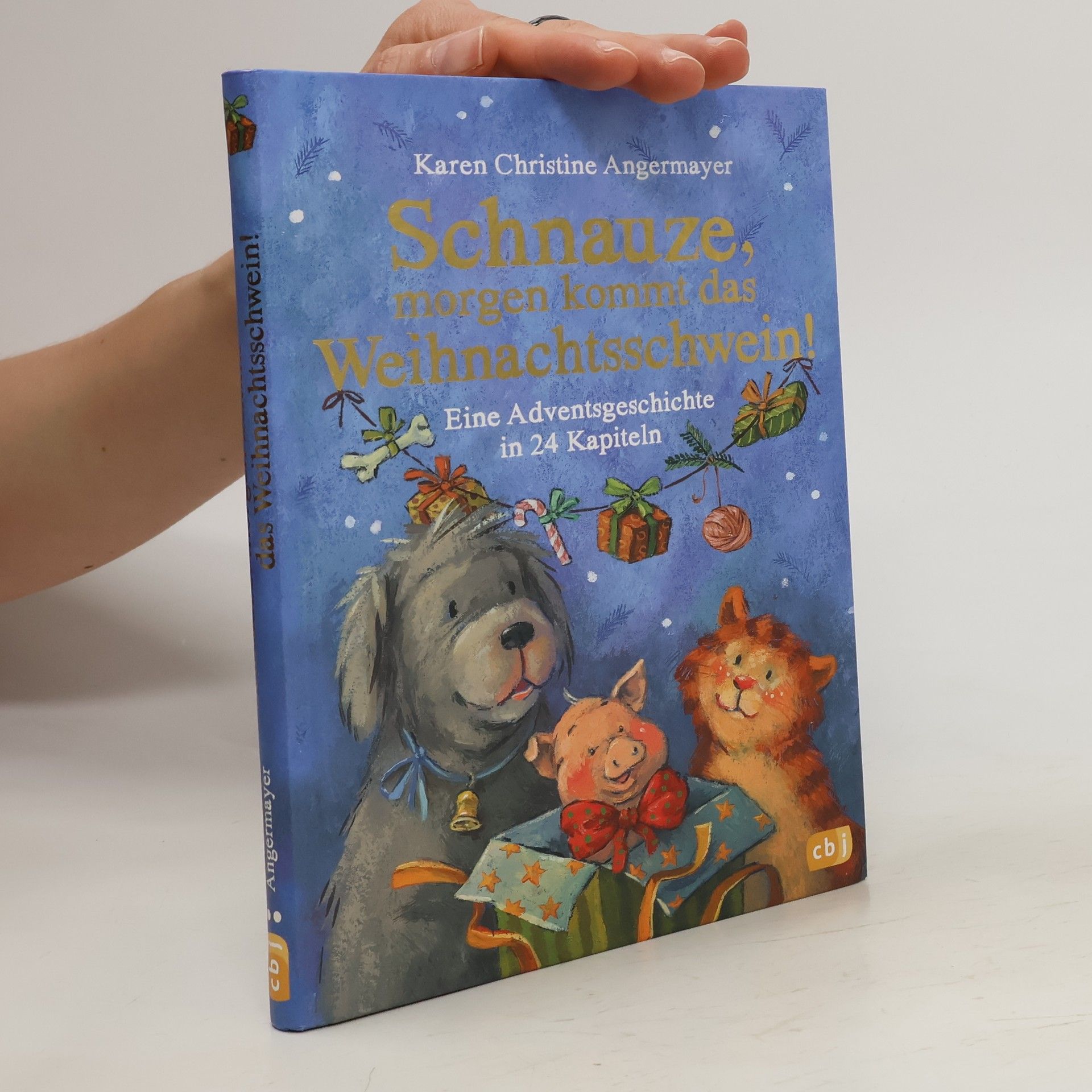 Karen Christine Angermayer Schnauze, morgen kommt das Weihnachtsschwein!