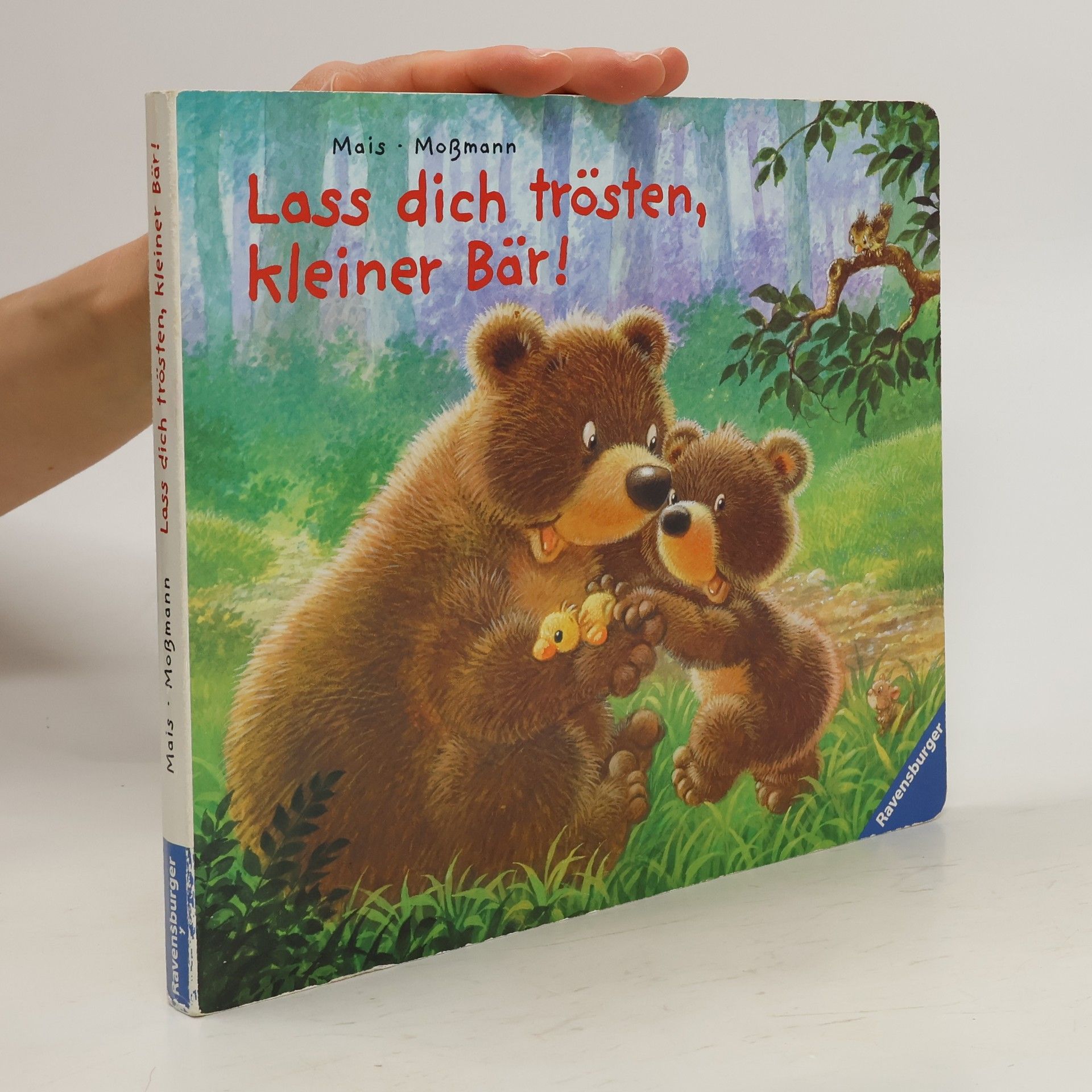 Susanne Mais Lass dich trösten, kleiner Bär