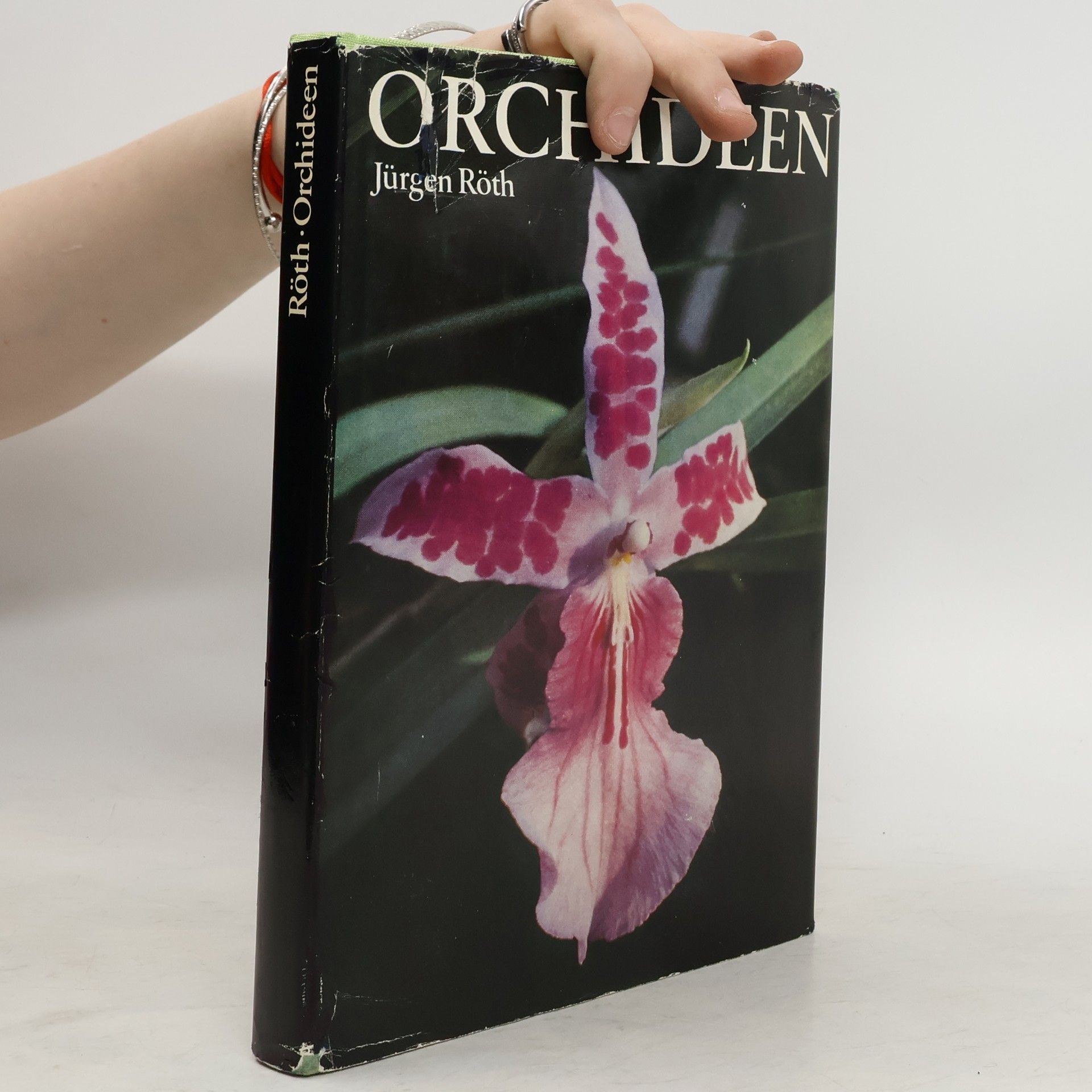 Jürgen Roth Orchideen