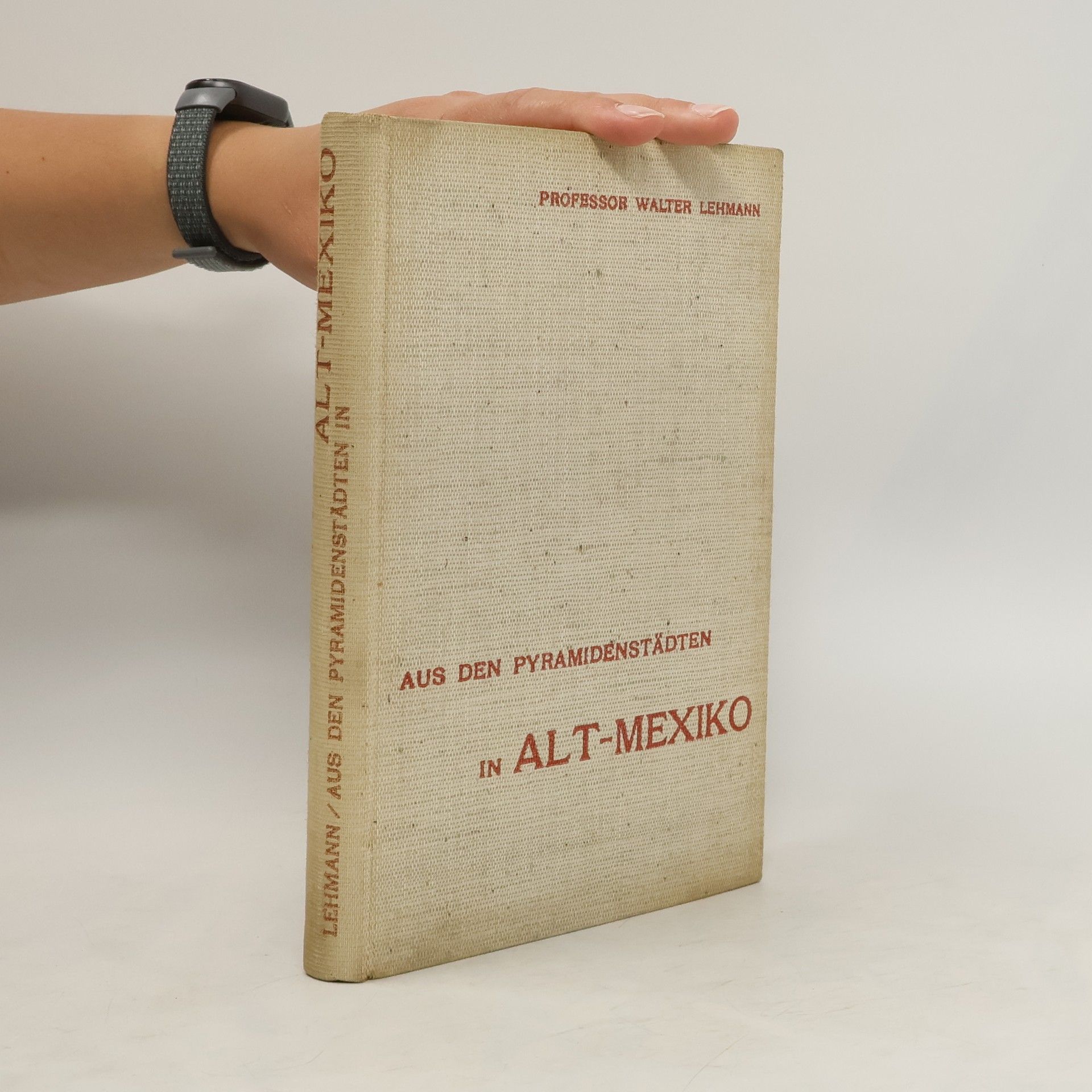 Walter Lehmann Aus den Pyramidenstädten in Alt-Mexiko