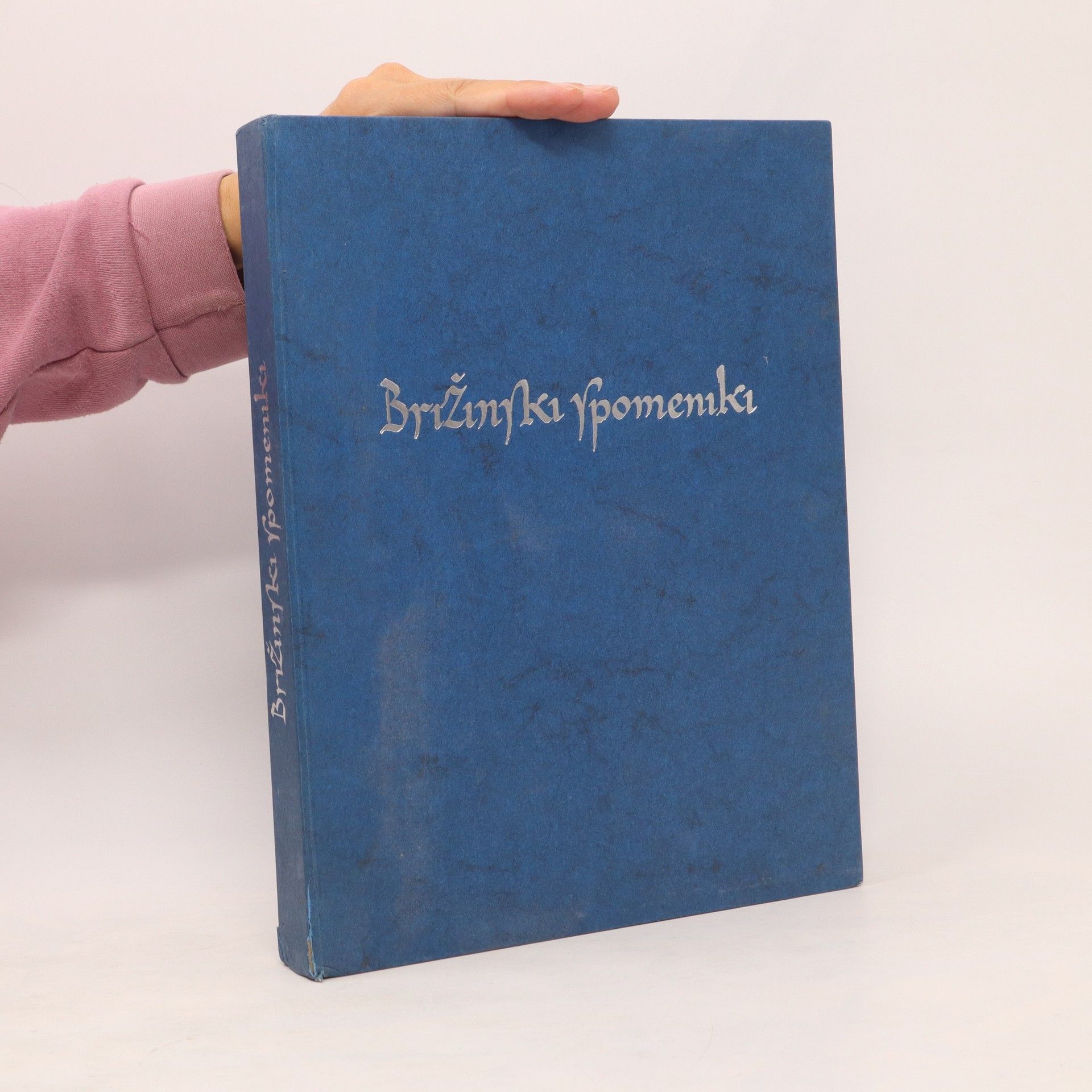kolektiv Brižinski spomeniki