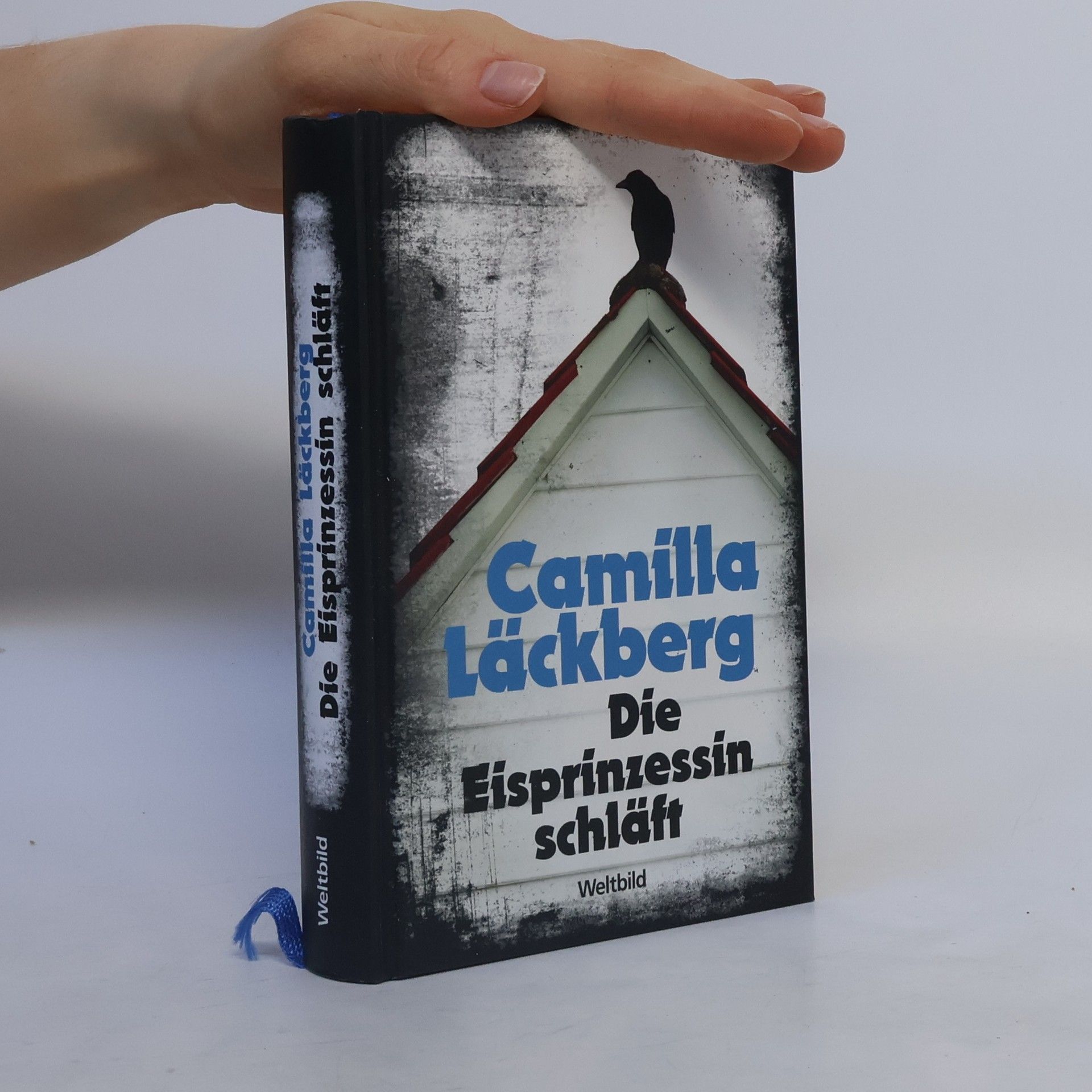 Camilla Läckberg Die Eisprinzessin schläft