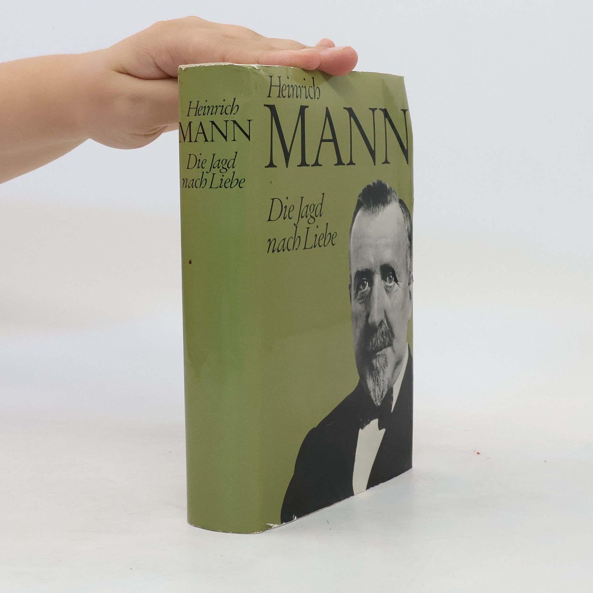 Heinrich Mann Die Jagd nach Liebe