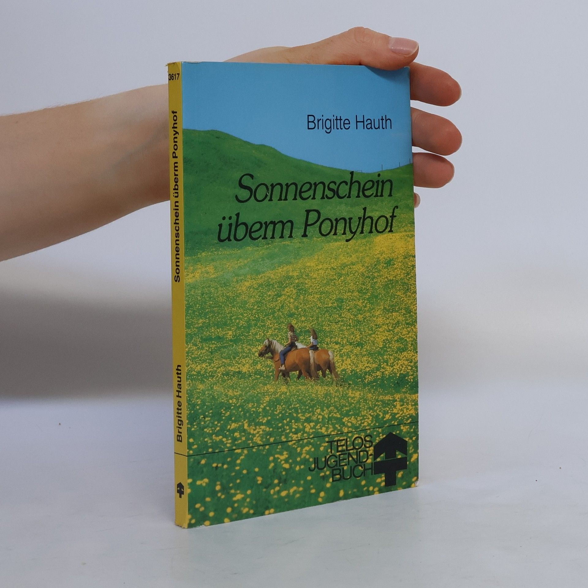 Brigitte Hauth Sonnenschein überm Ponyhof