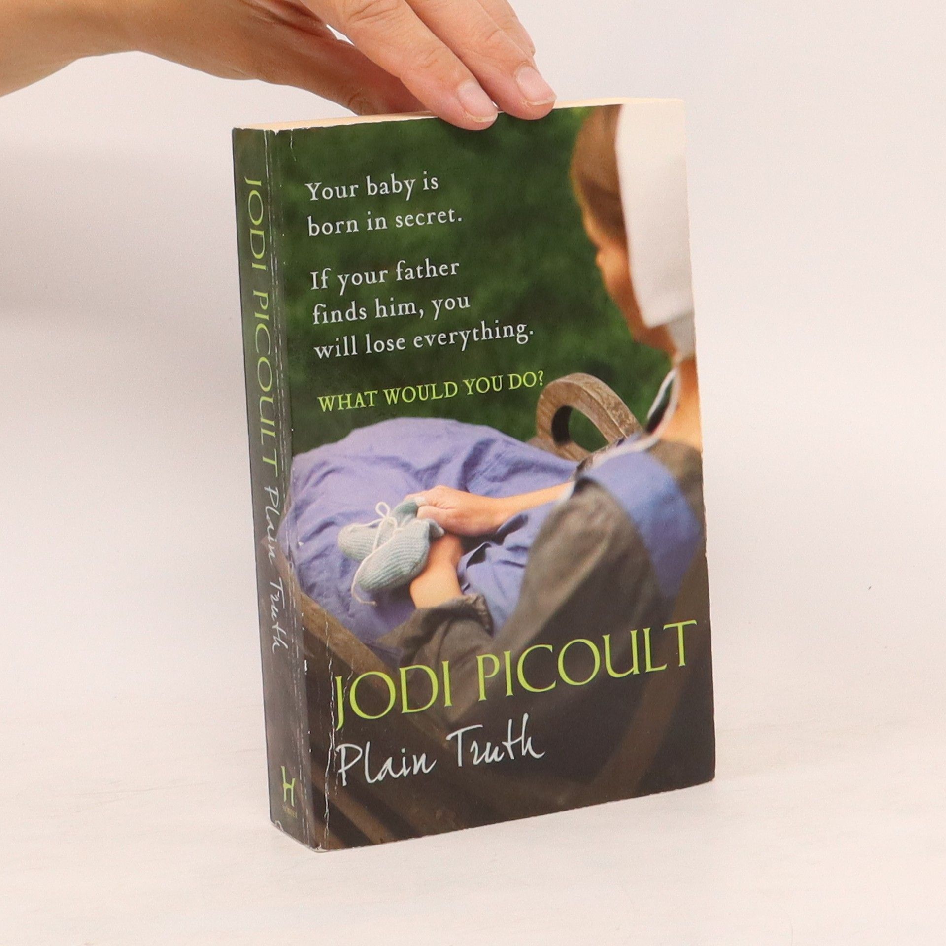 Jodi Picoult Plain Truth - Ssa