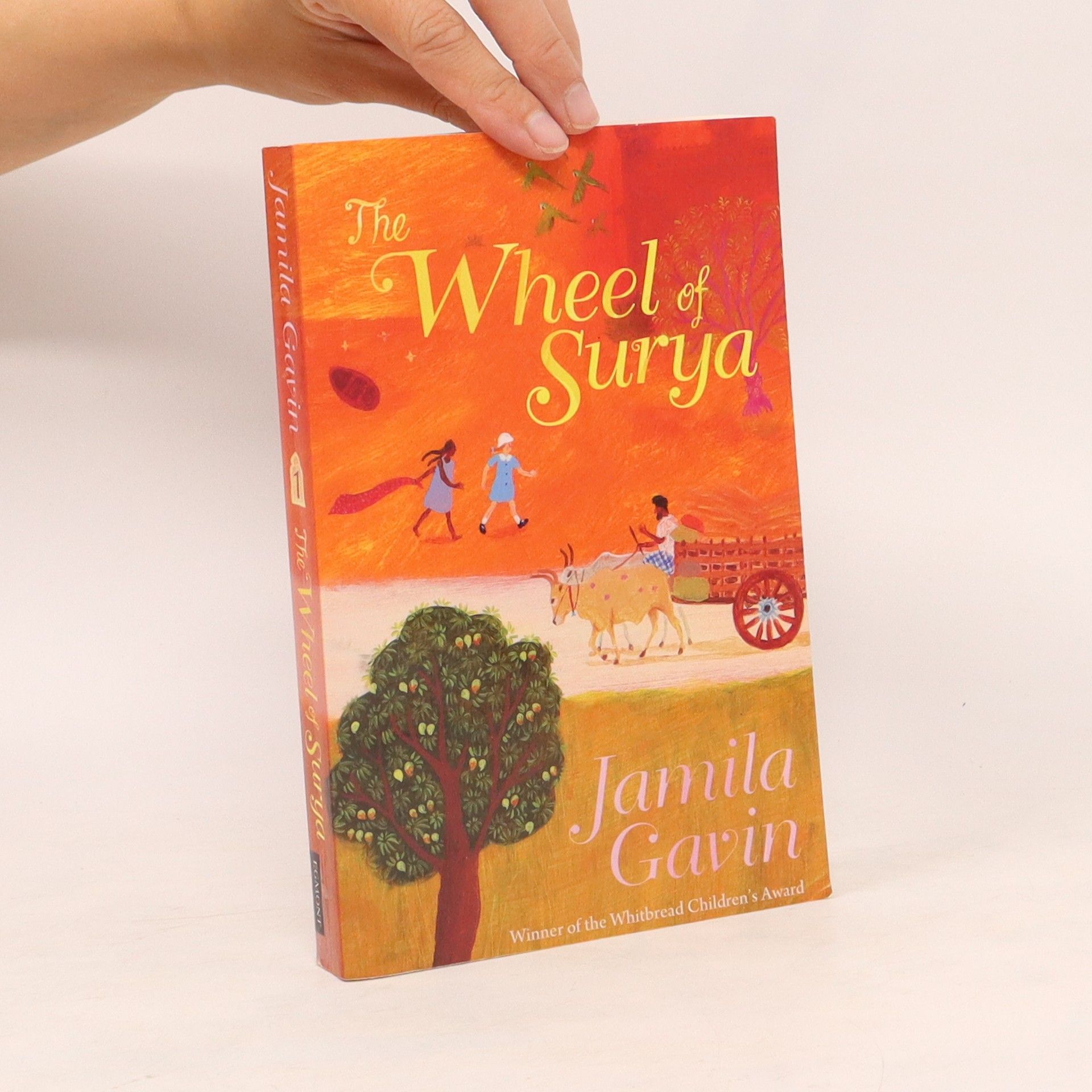 Jamila Gavin Wheel of Surya