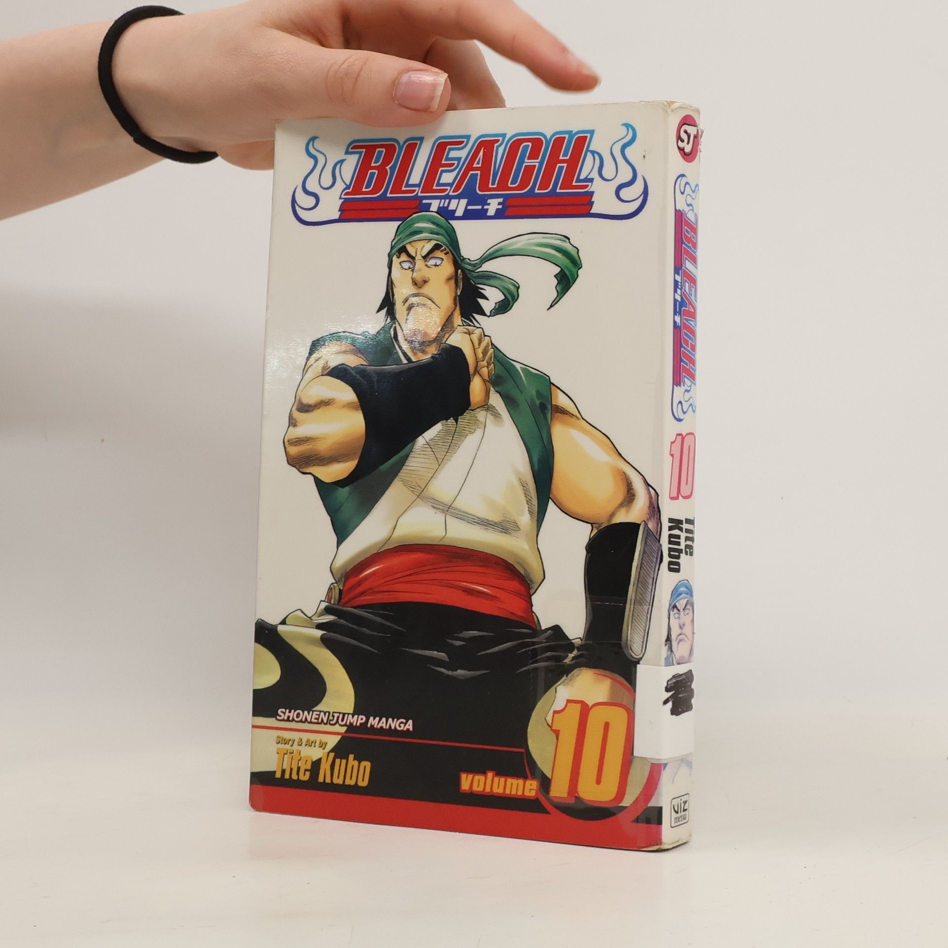 Tite Kubo Bleach, Vol. 10
