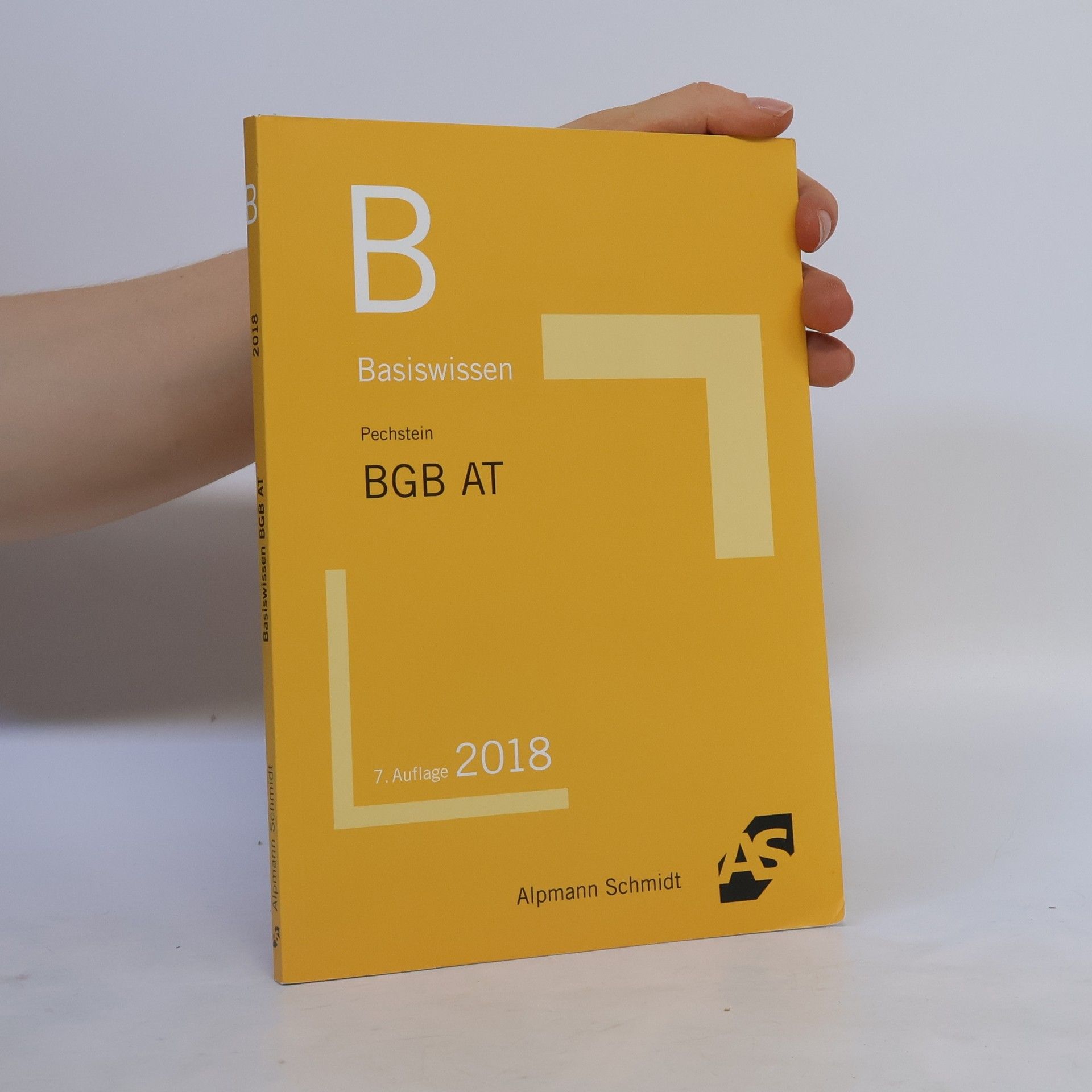 Christoph Pechstein Basiswissen BGB Allgemeiner Teil