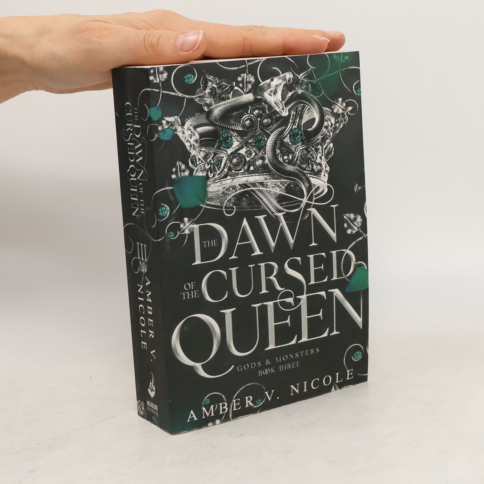 Amber Nicole The Dawn of the Cursed Queen: The latest sizzling, dark romantasy book in the Gods & Monsters series!