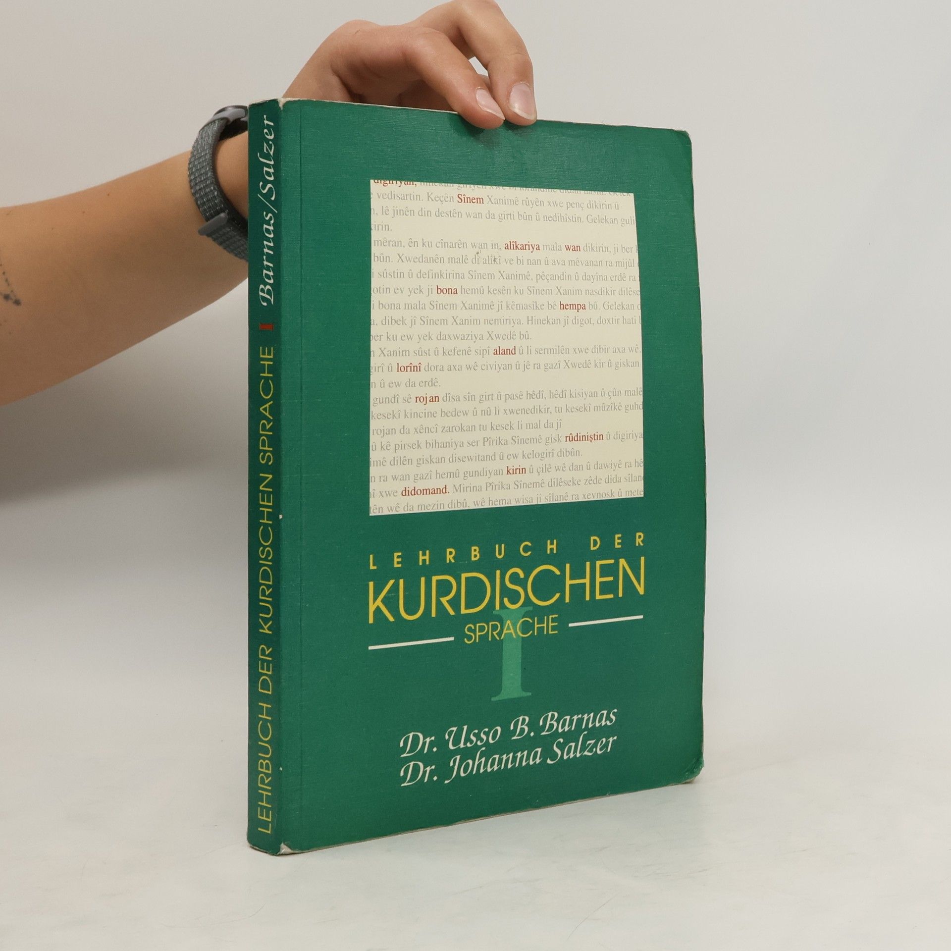 Autorenkollektiv Lehrbuch der kurdischen Sprache