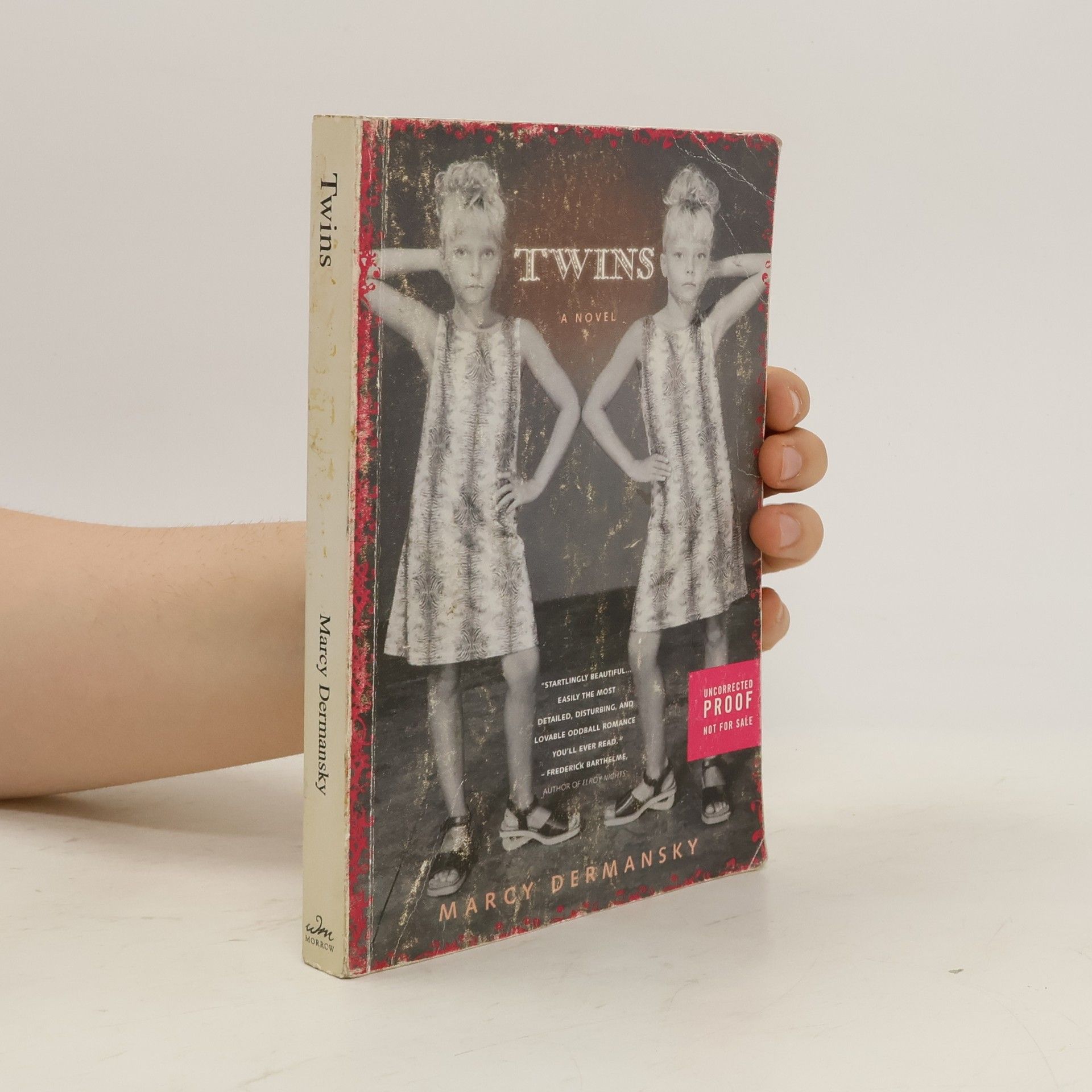 Marcy Dermansky Twins