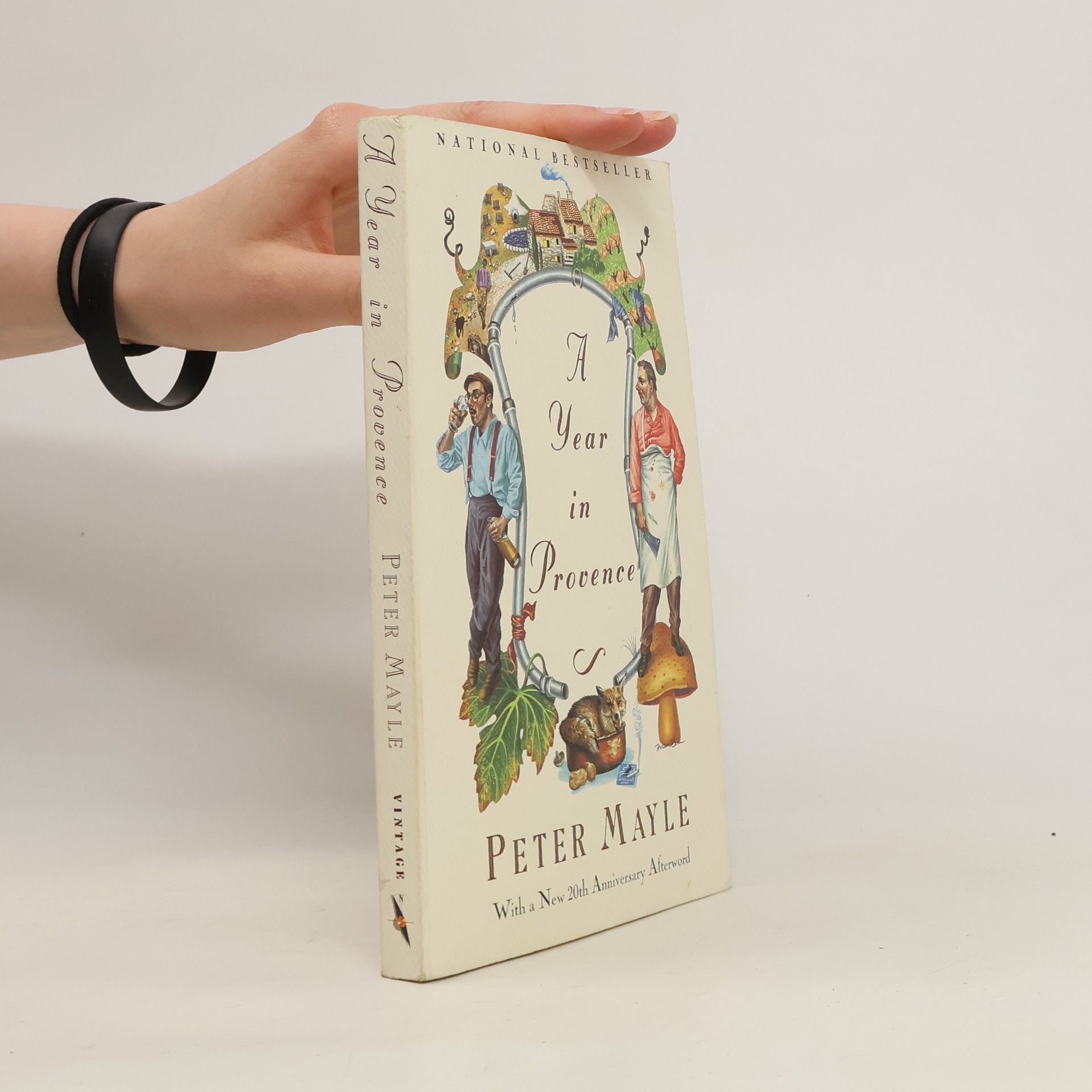 Peter Mayle A Year in Provence