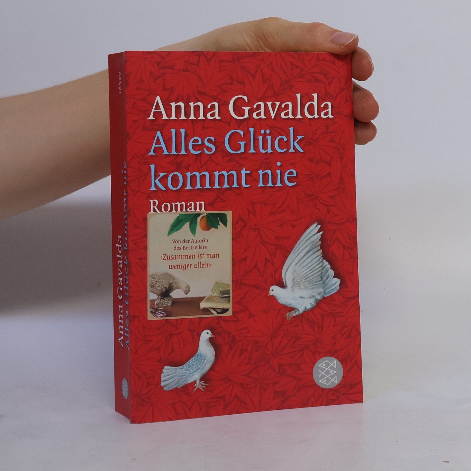Anna Gavalda Alles Glück kommt nie