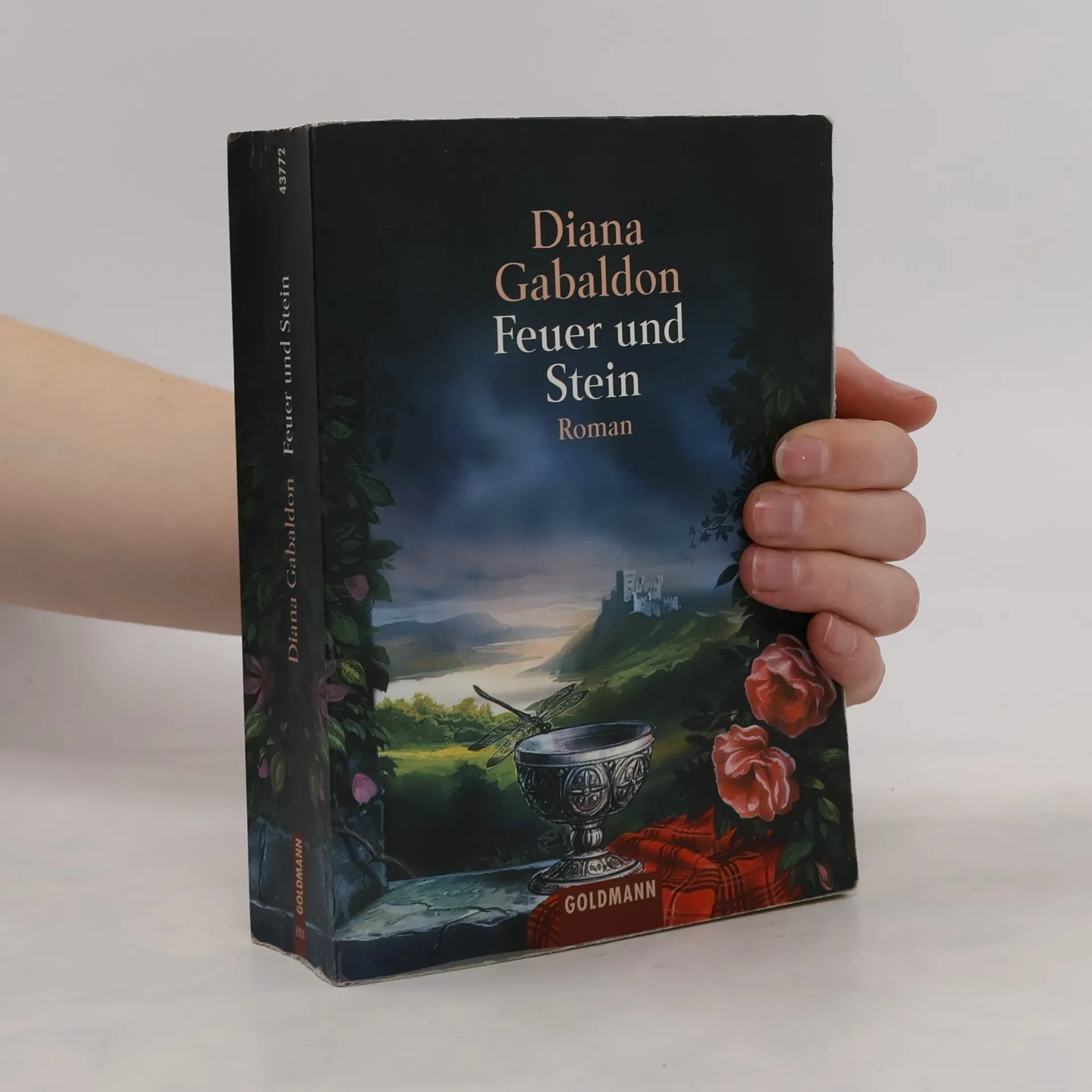 Feuer und Stein | Buch | Diana Gabaldon