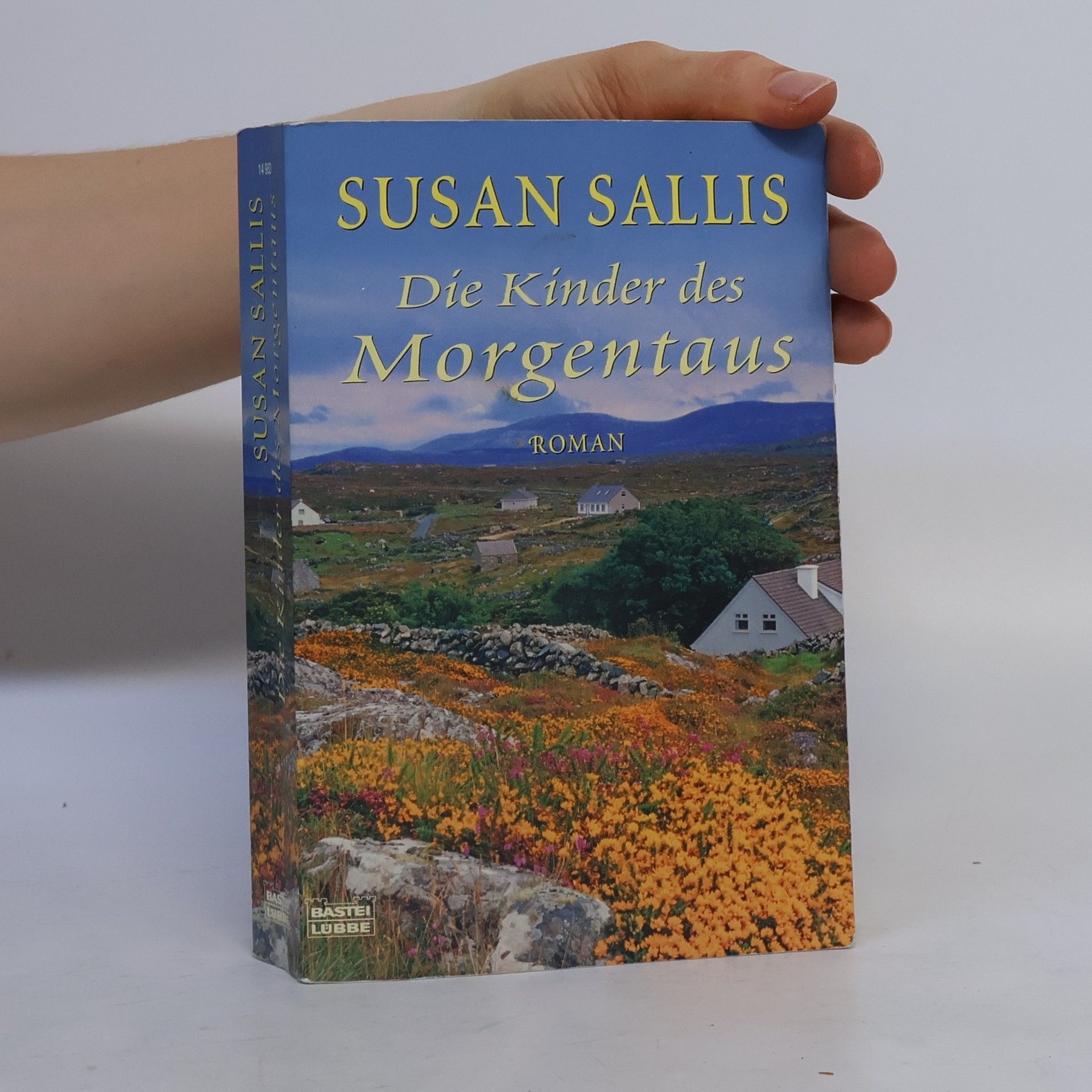 Susan Sallis Die Kinder des Morgentaus