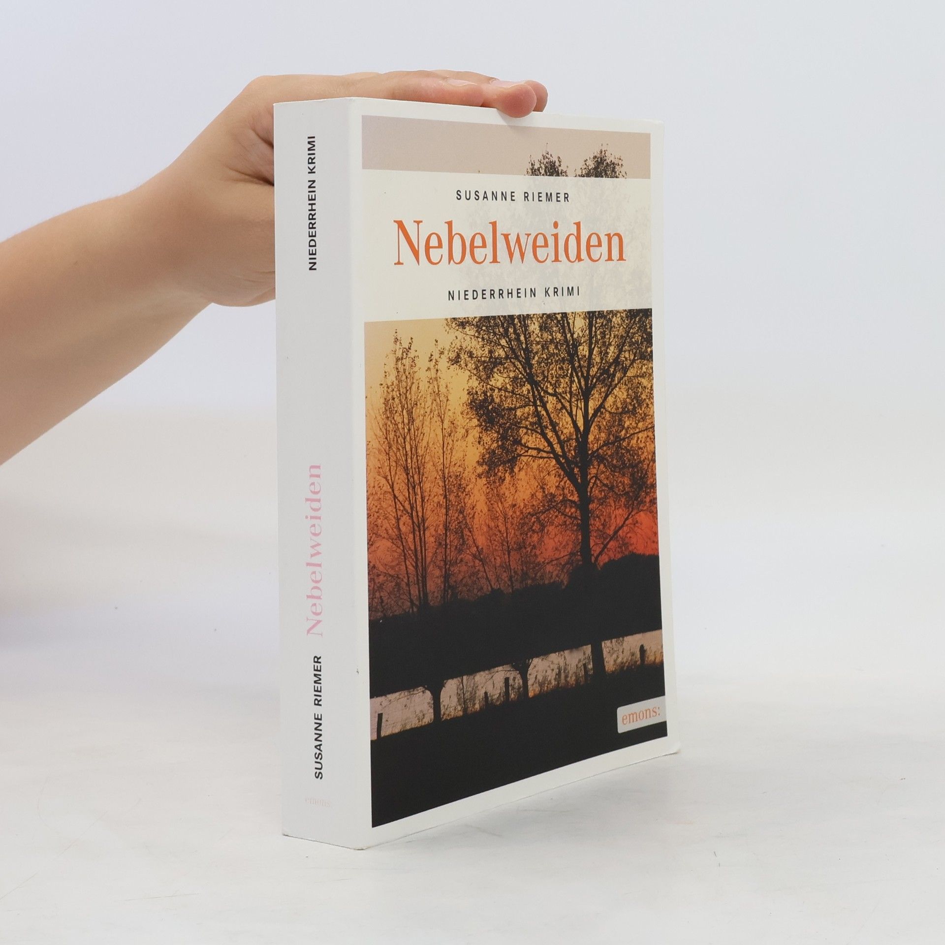 Susanne Riemer Nebelweiden