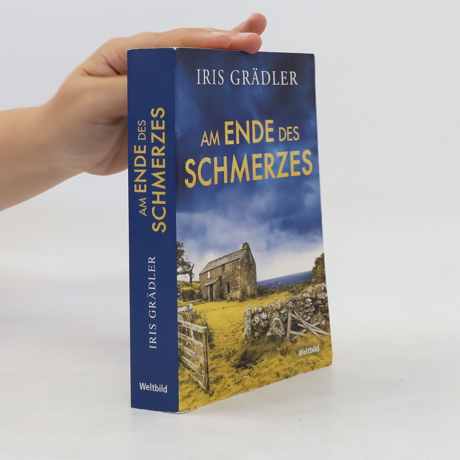 Iris Grädler Am Ende des Schmerzes