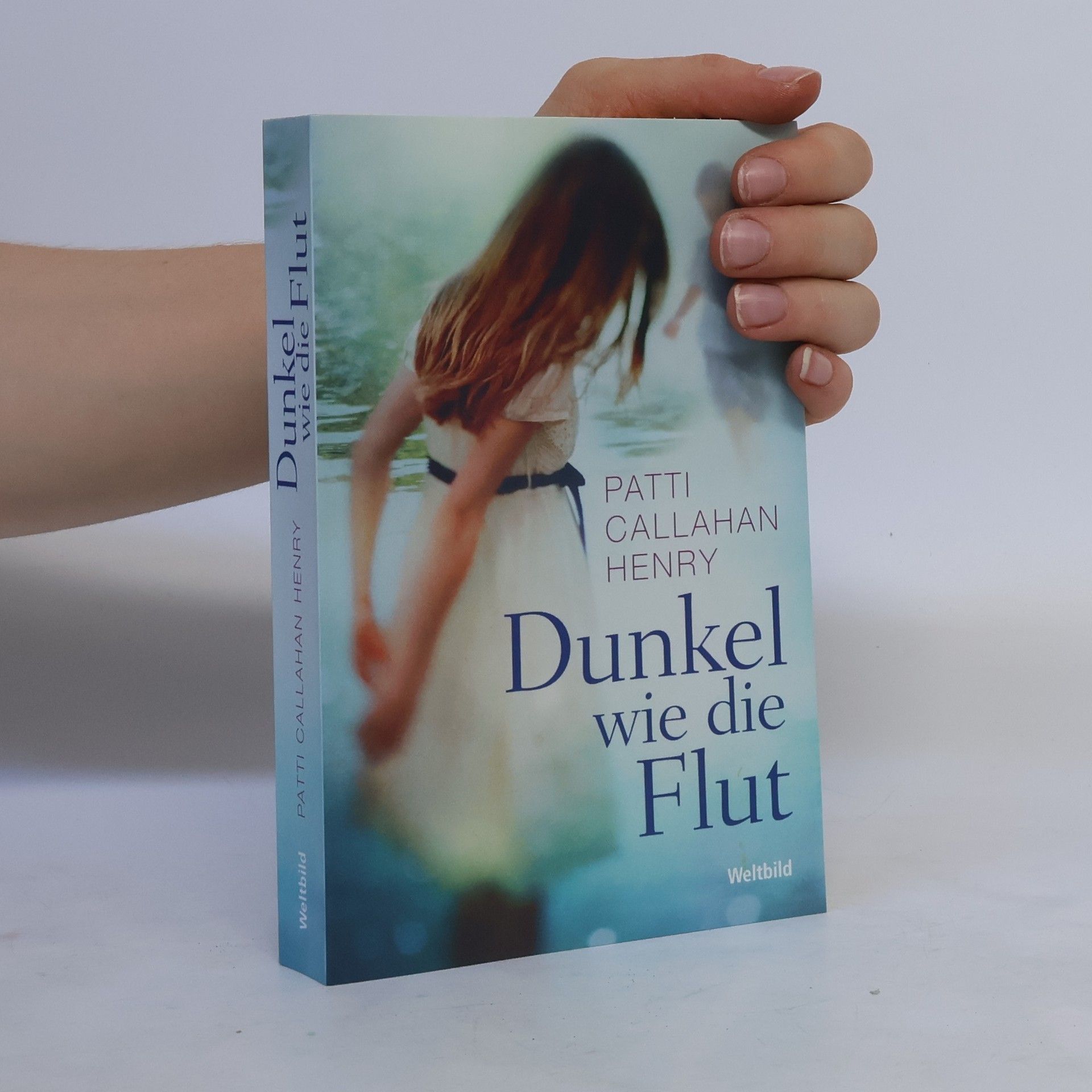 Patti Callahan Henry Dunkel wie die Flut