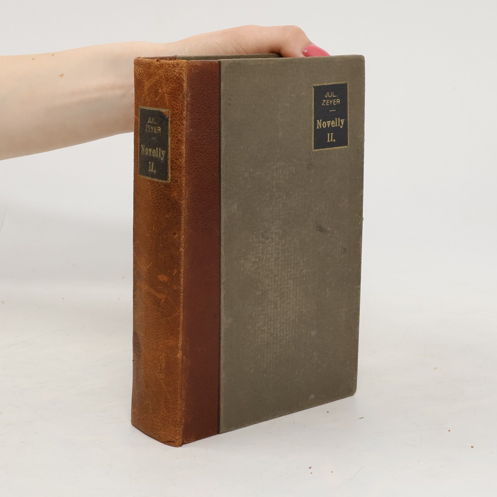 Julius Zeyer Novelly II