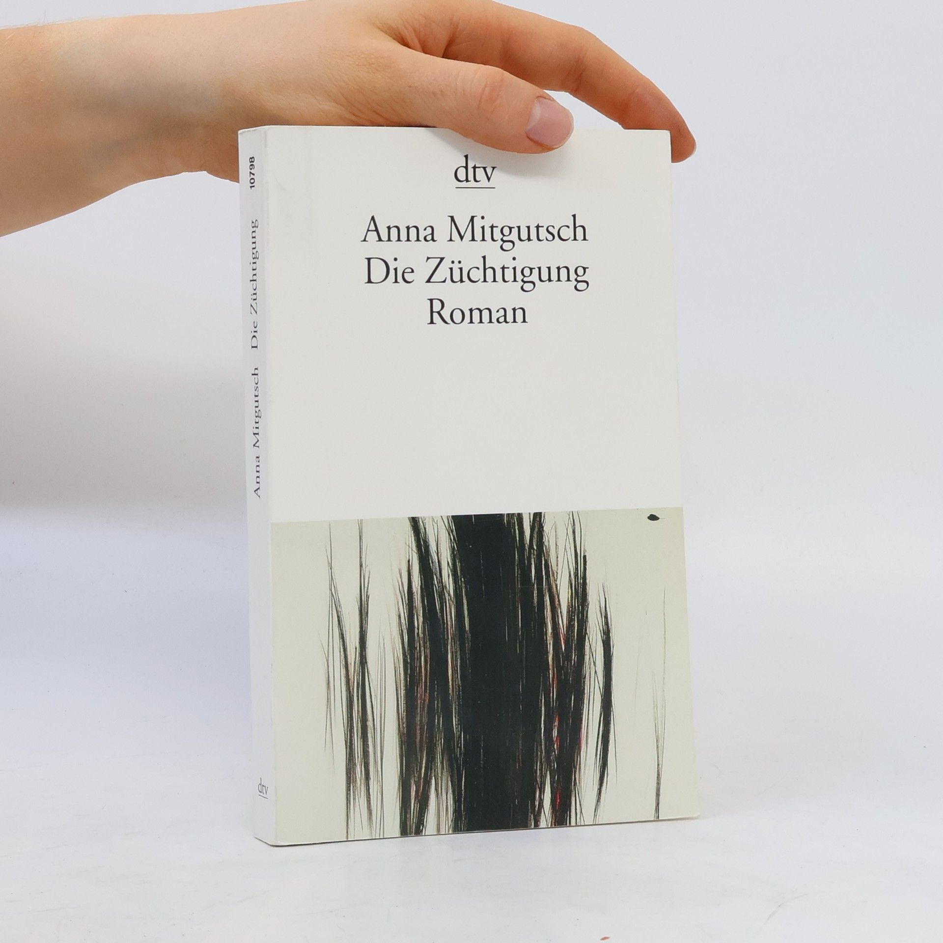Anna Mitgutsch Die Züchtigung