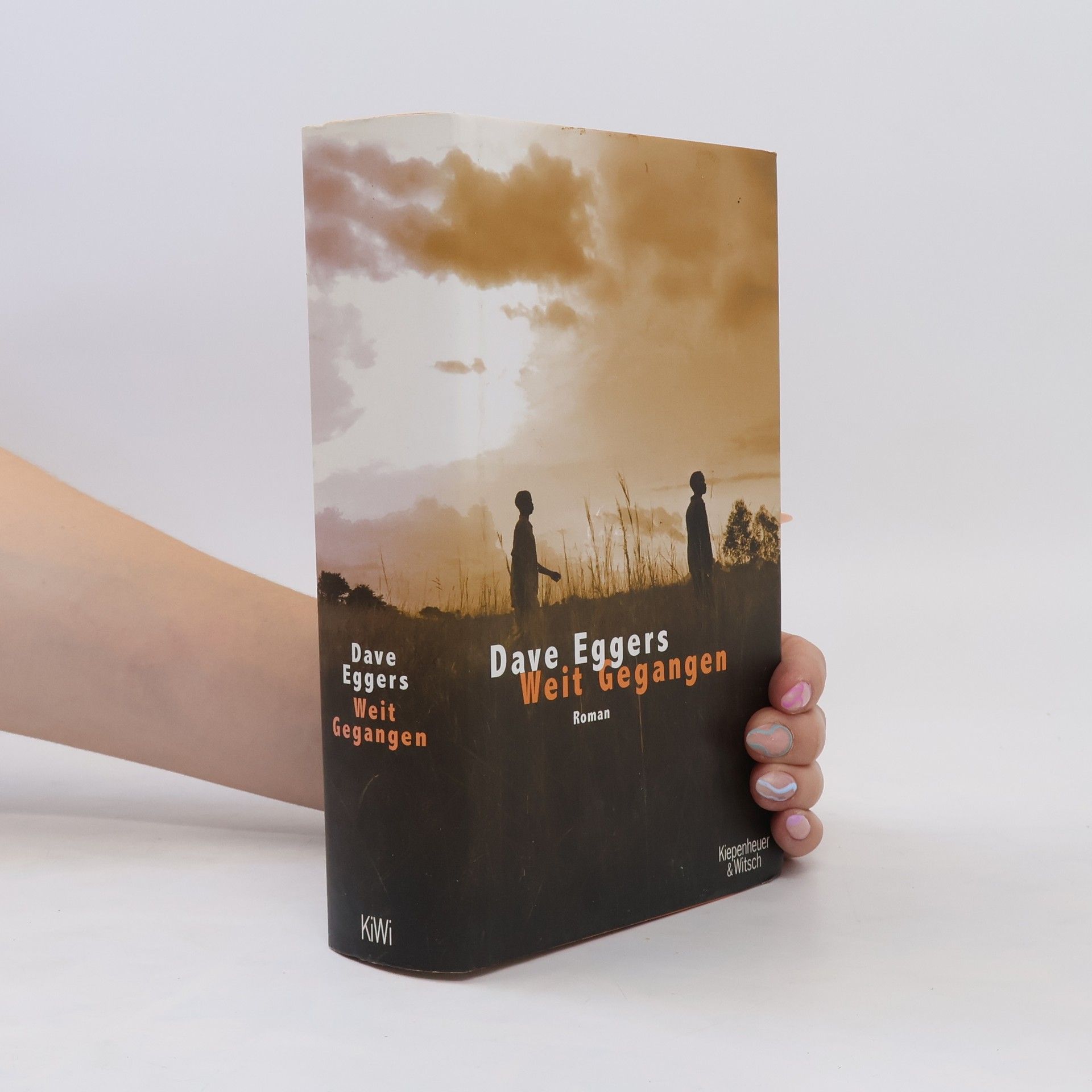 Dave Eggers Weit gegangen