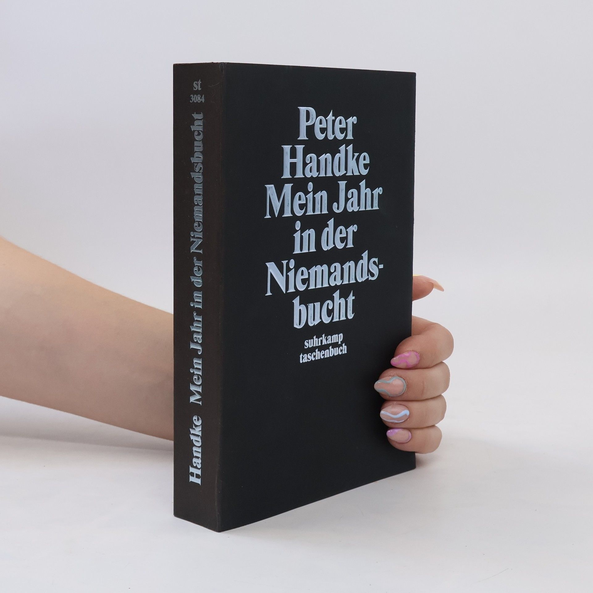 Peter Handke Mein Jahr in der Niemandsbucht