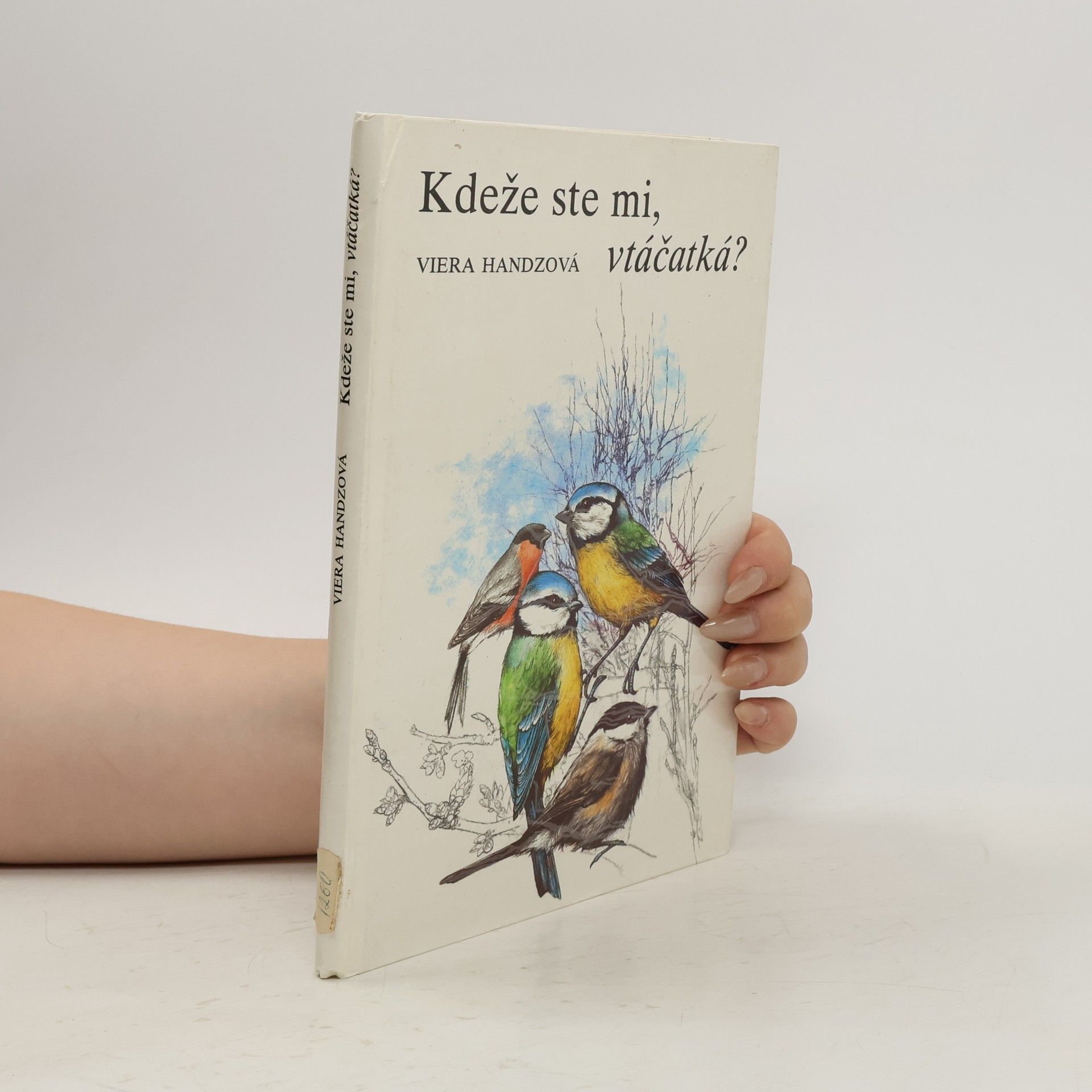Viera Handzová Kdeže ste mi, vtáčatká?