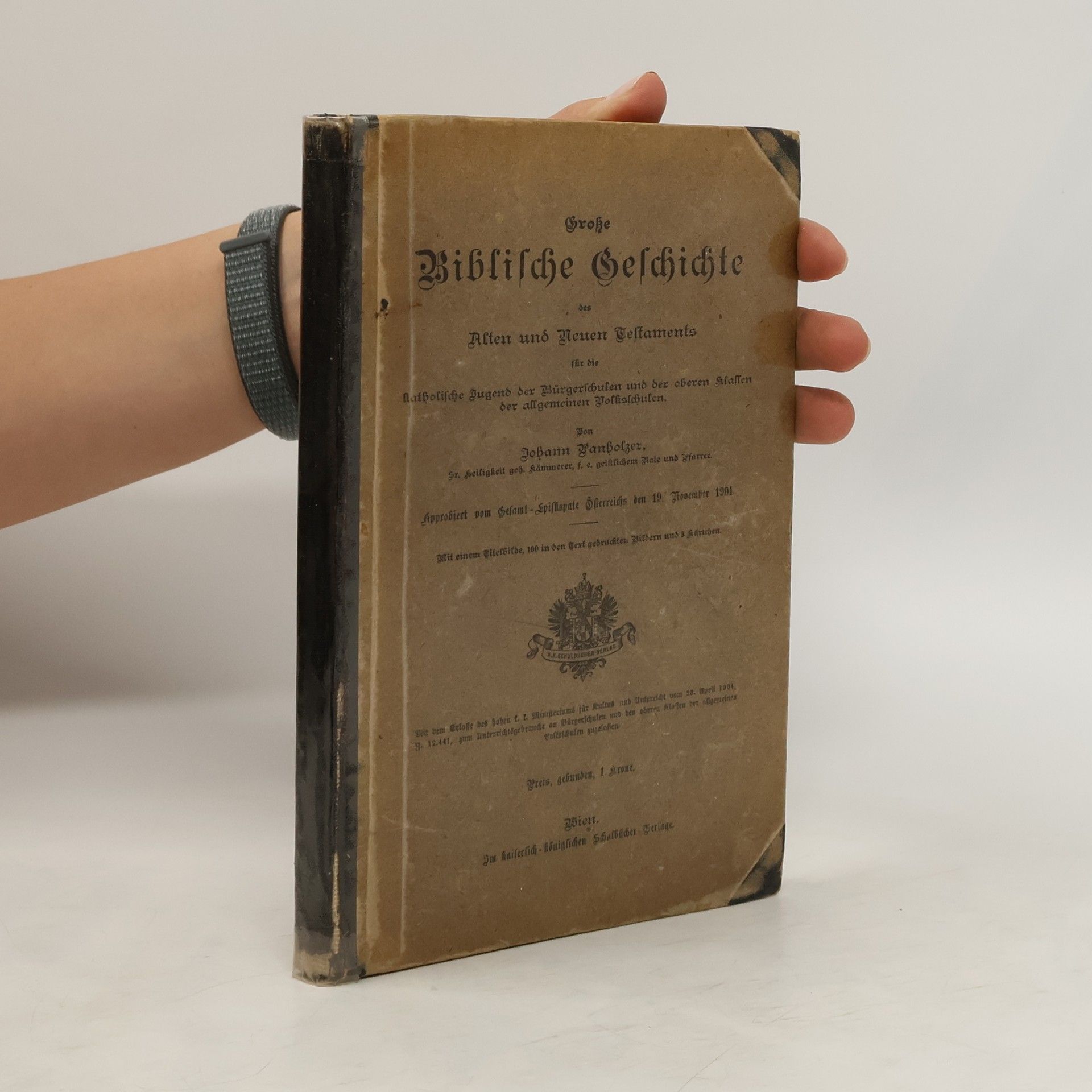 Johann Panholzer Große Biblische Geschichte