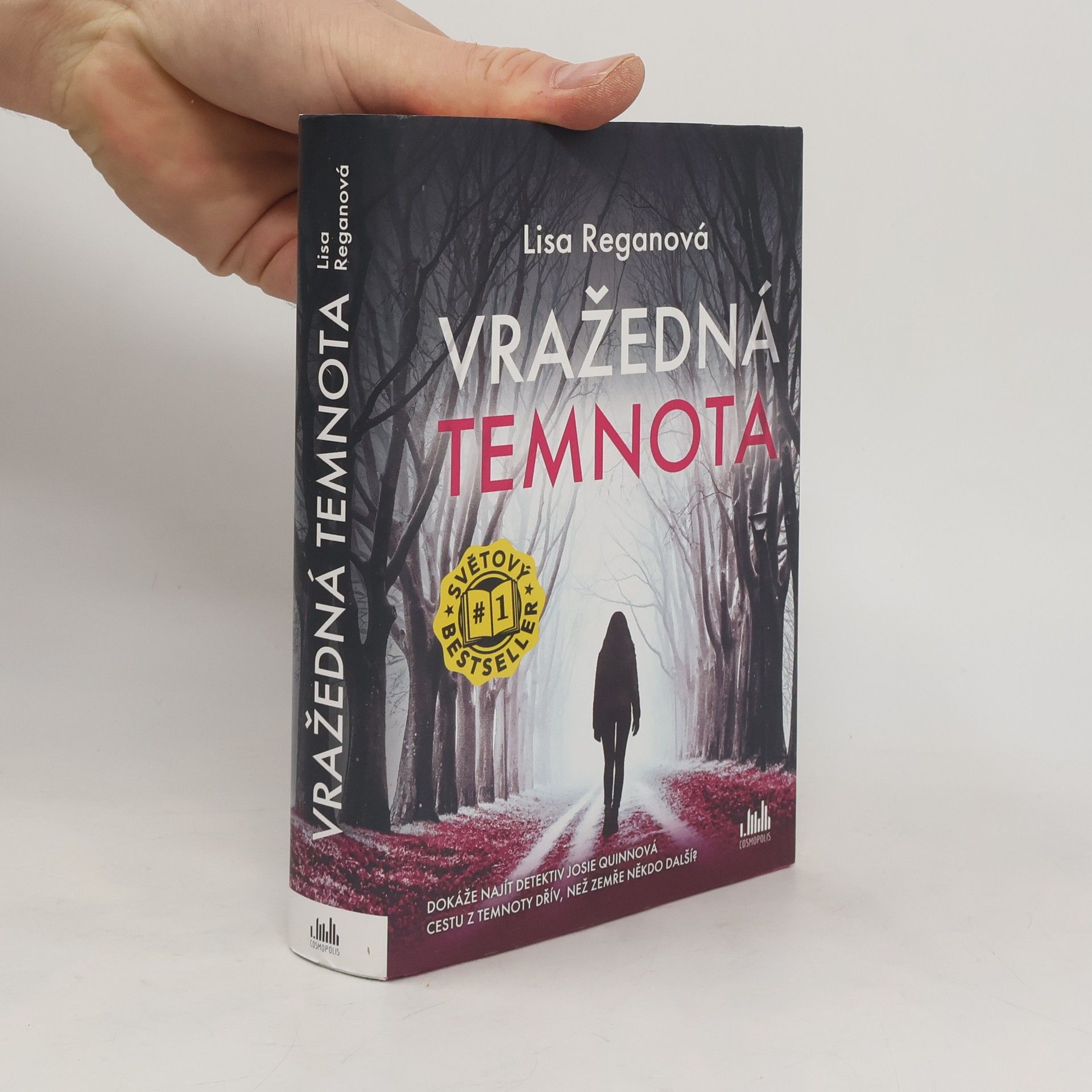 Lisa Regan Vražedná temnota