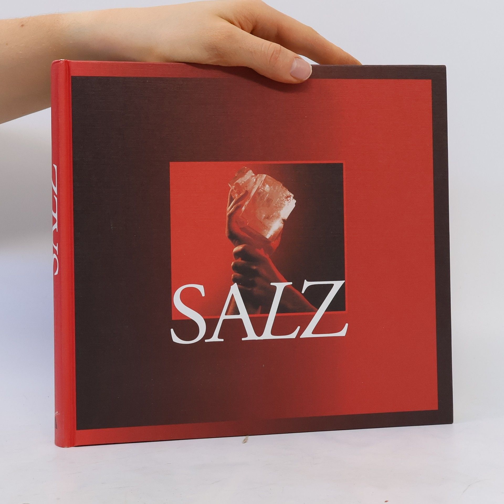 Heinz Dopsch Salz