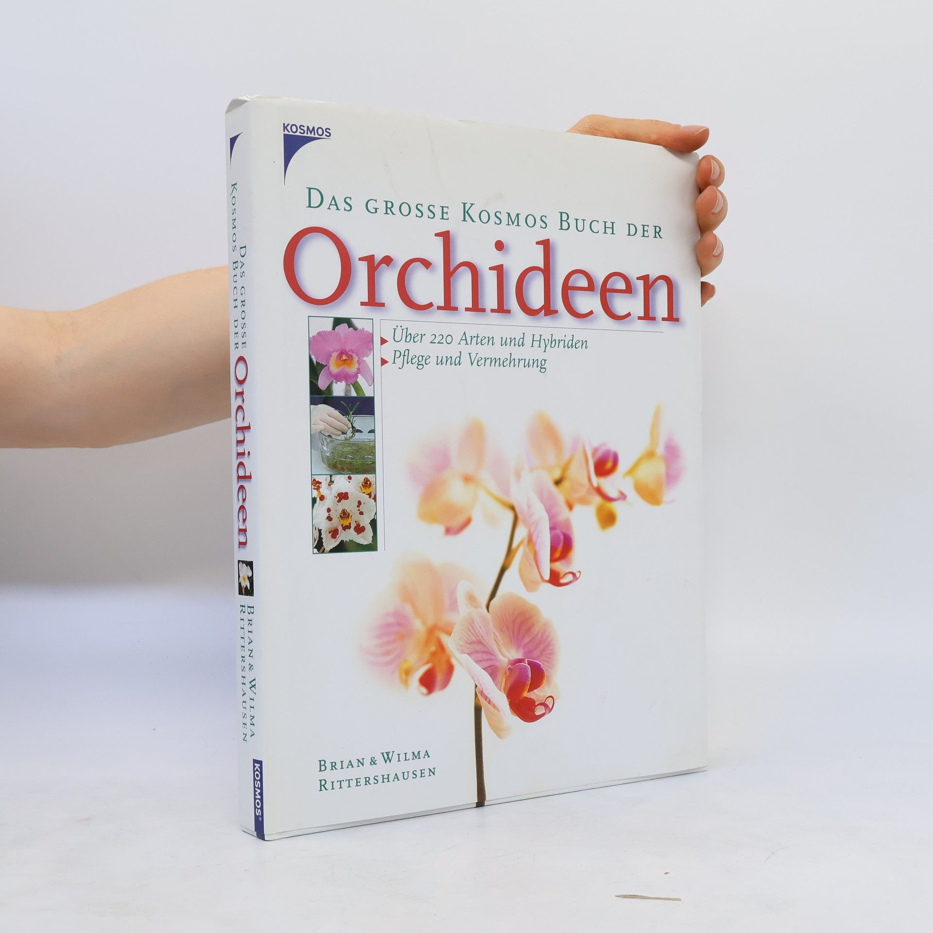 Wilma Rittershausen Das große Kosmos-Buch der Orchideen