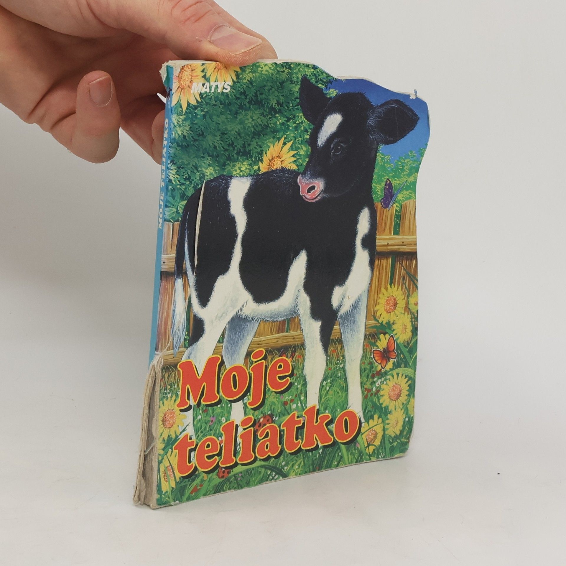 Autorenkollektiv Moje teliatko
