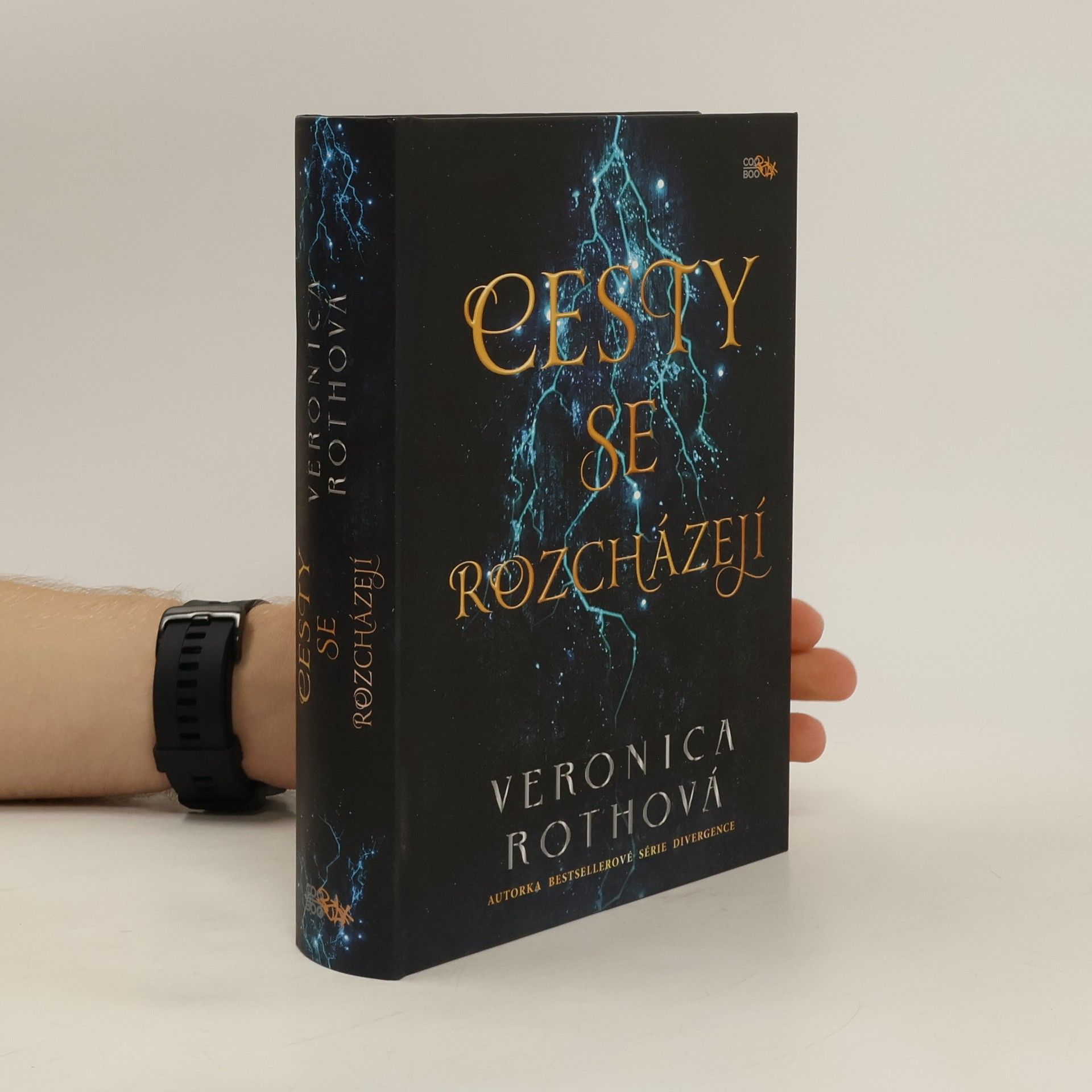 Veronica Roth Cesty se rozcházejí