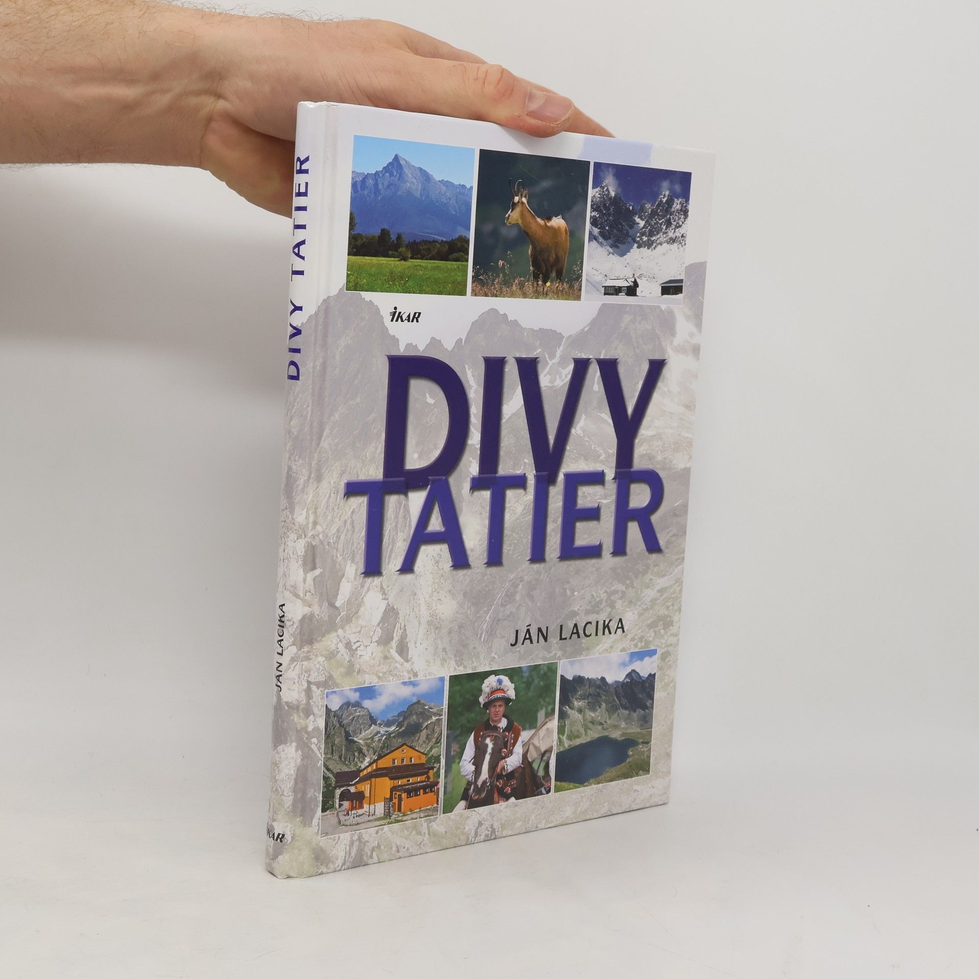 Rebecca Stephens Divy Tatier