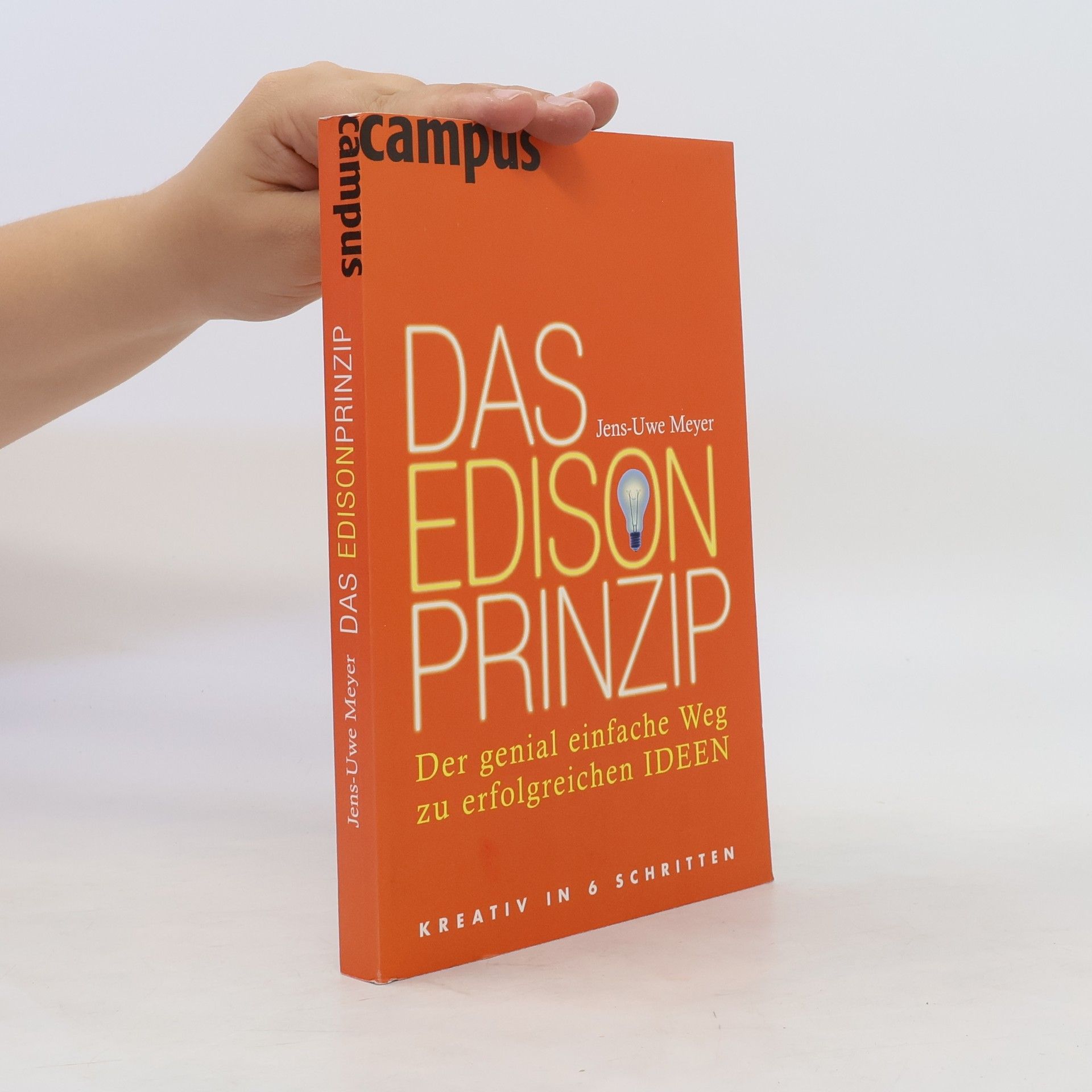 Jens-Uwe Meyer Das Edison-Prinzip