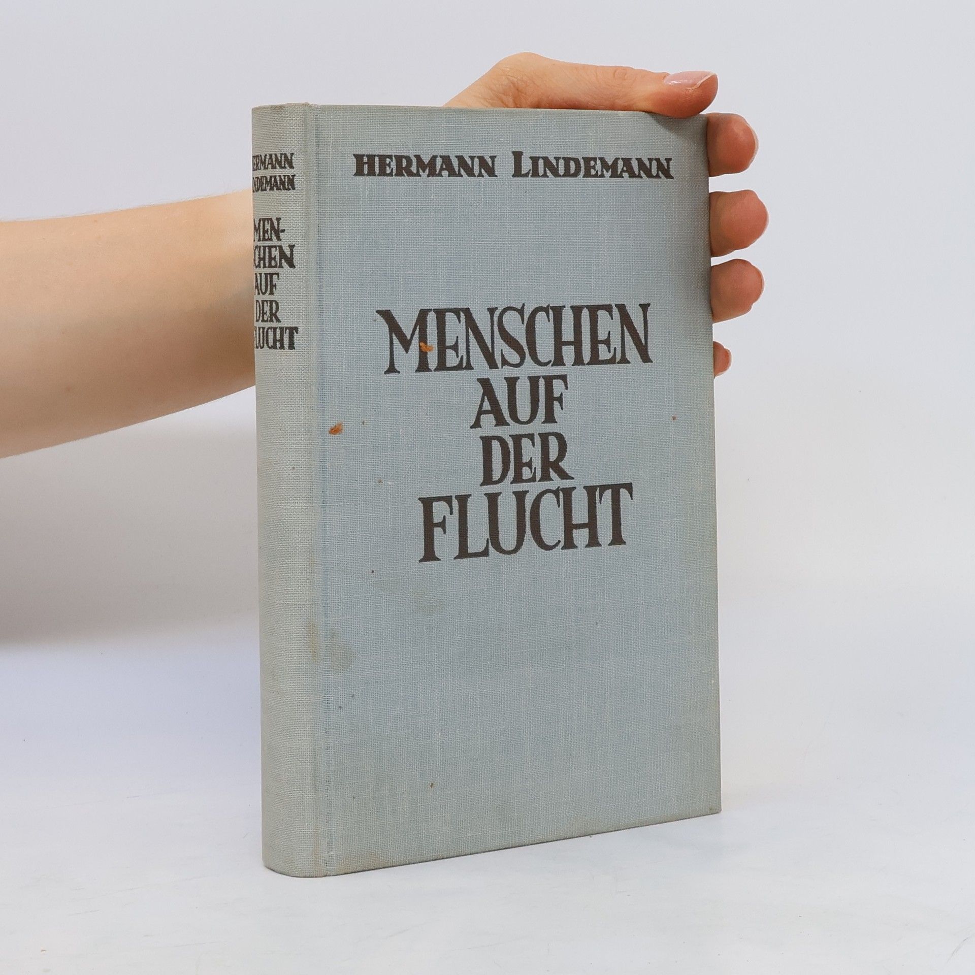 Hermann Lindemann Menschen auf der Flucht