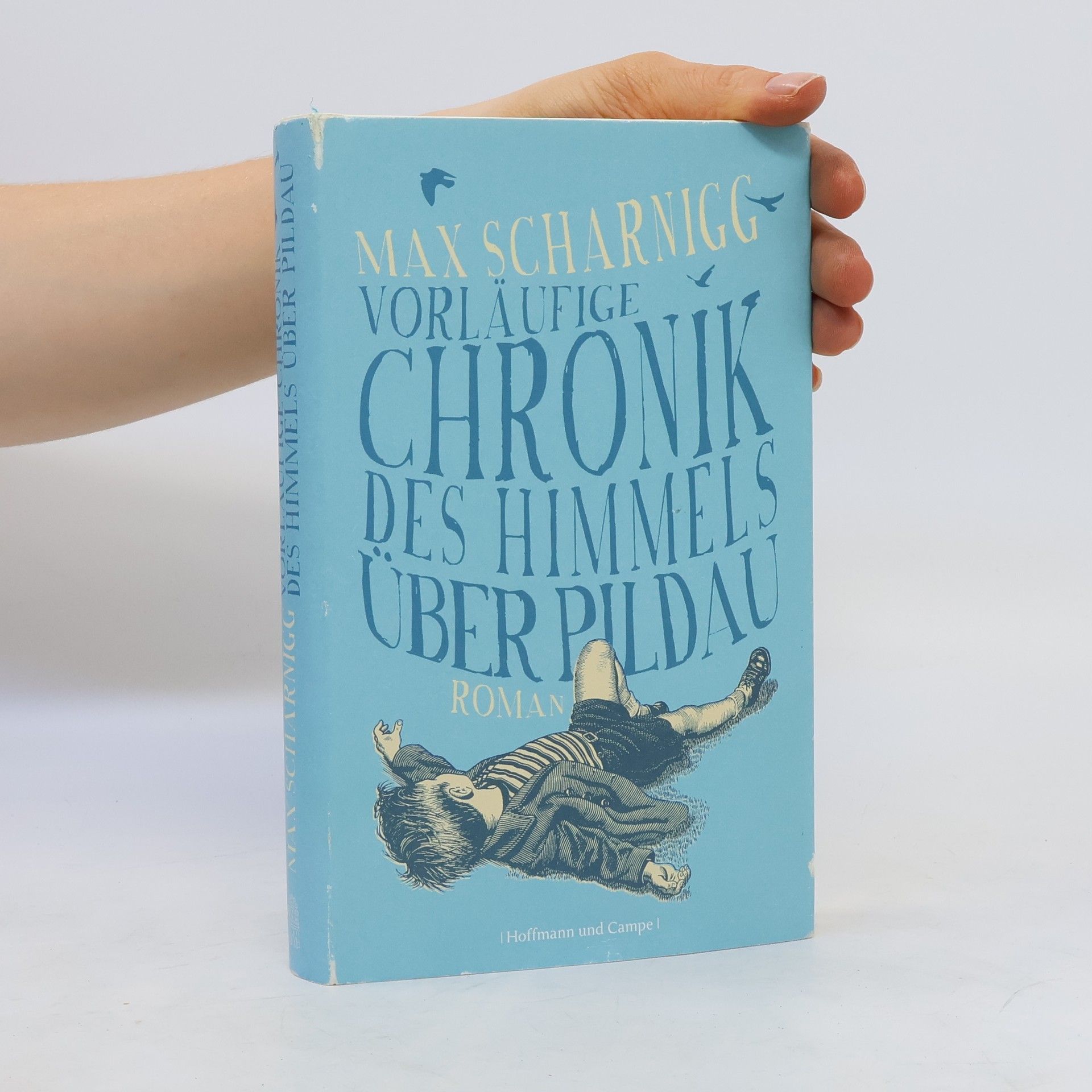 Max Scharnigg Vorläufige Chronik des Himmels über Pildau