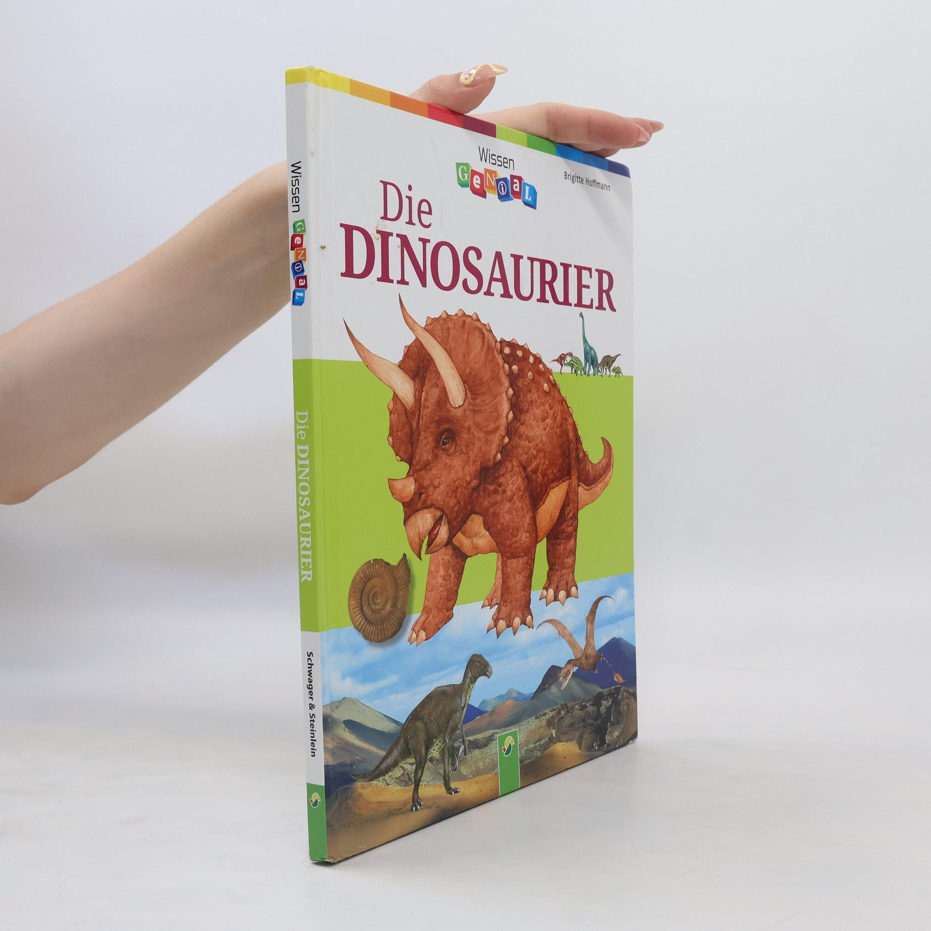 kolektiv Die Dinosaurier