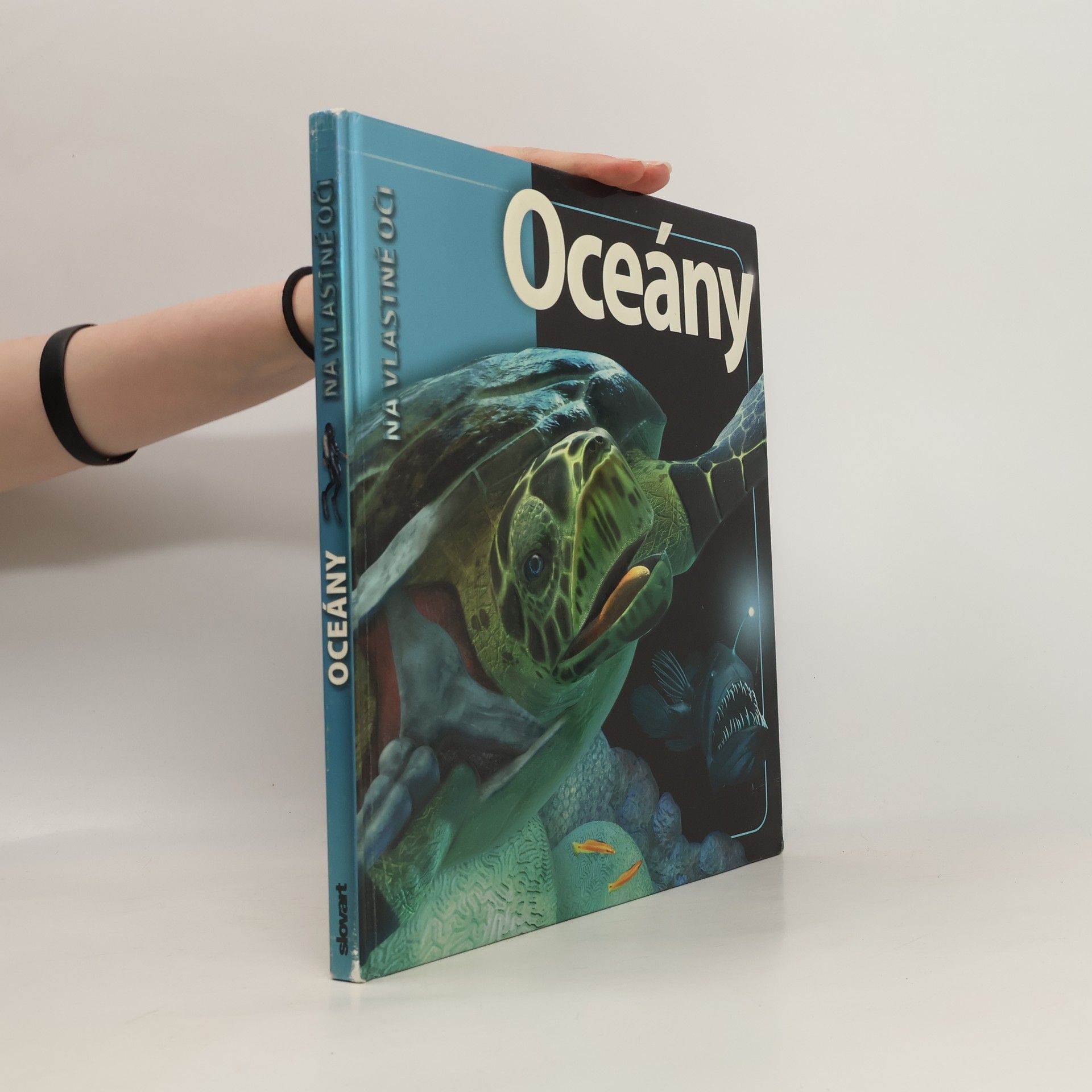 Beverly McMillan Oceány