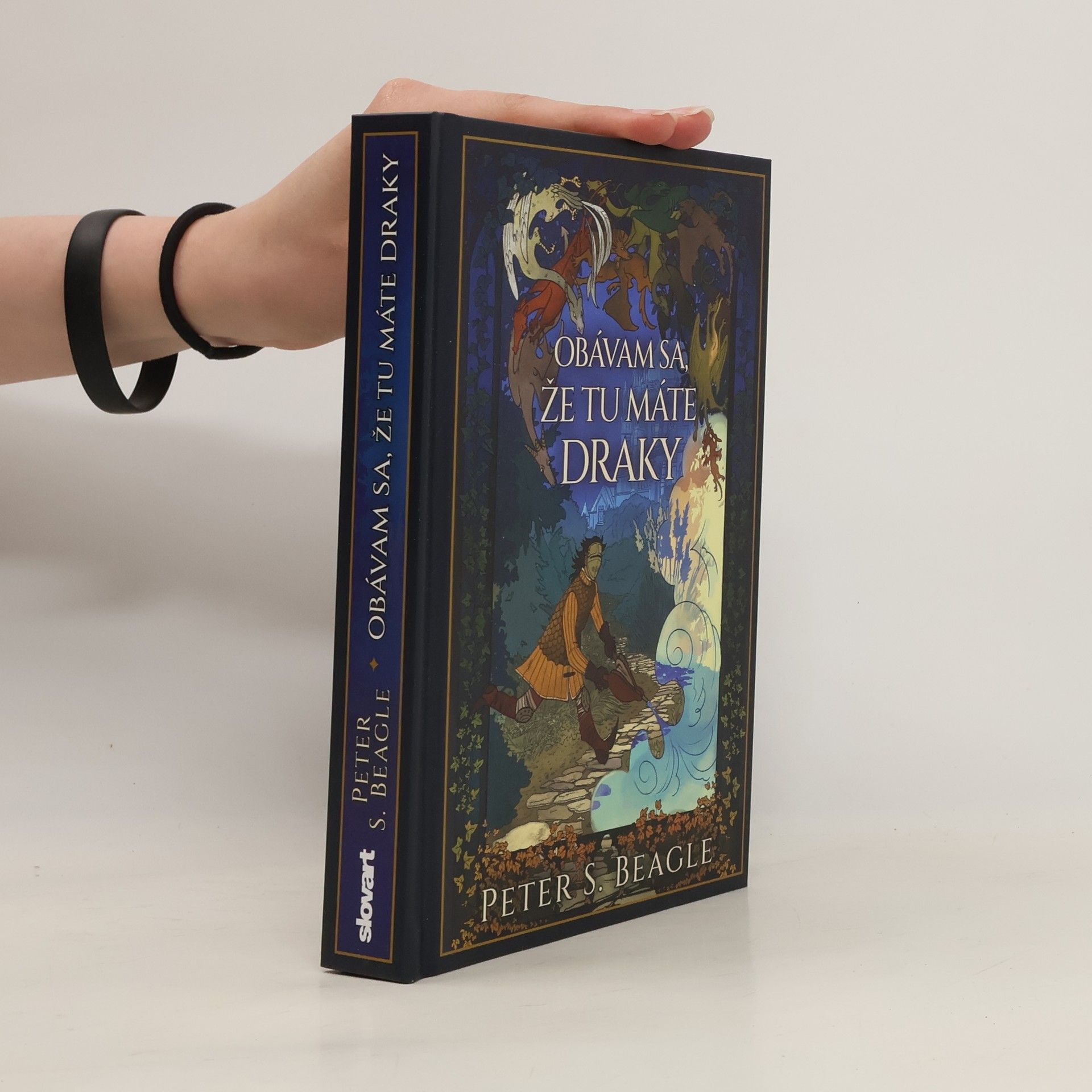 Peter S. Beagle Obávam sa, že tu máte draky