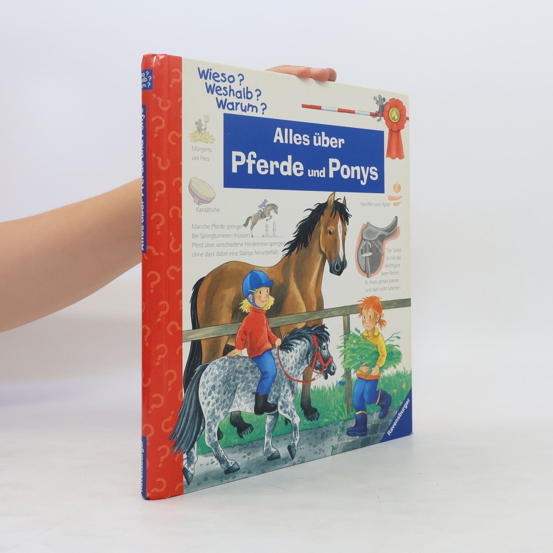 Andrea Erne Alles über Pferde und Ponys