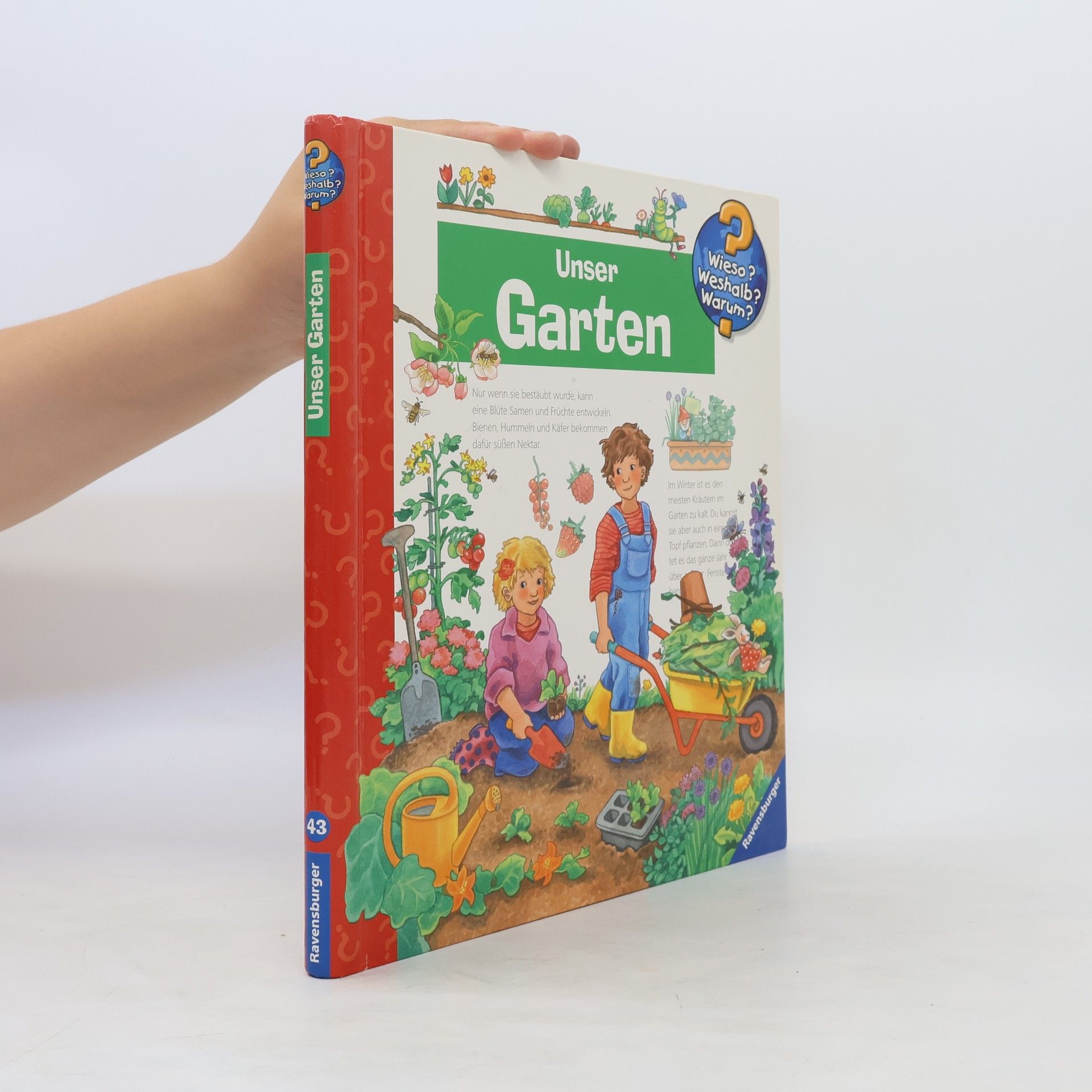 Andrea Erne Unser Garten