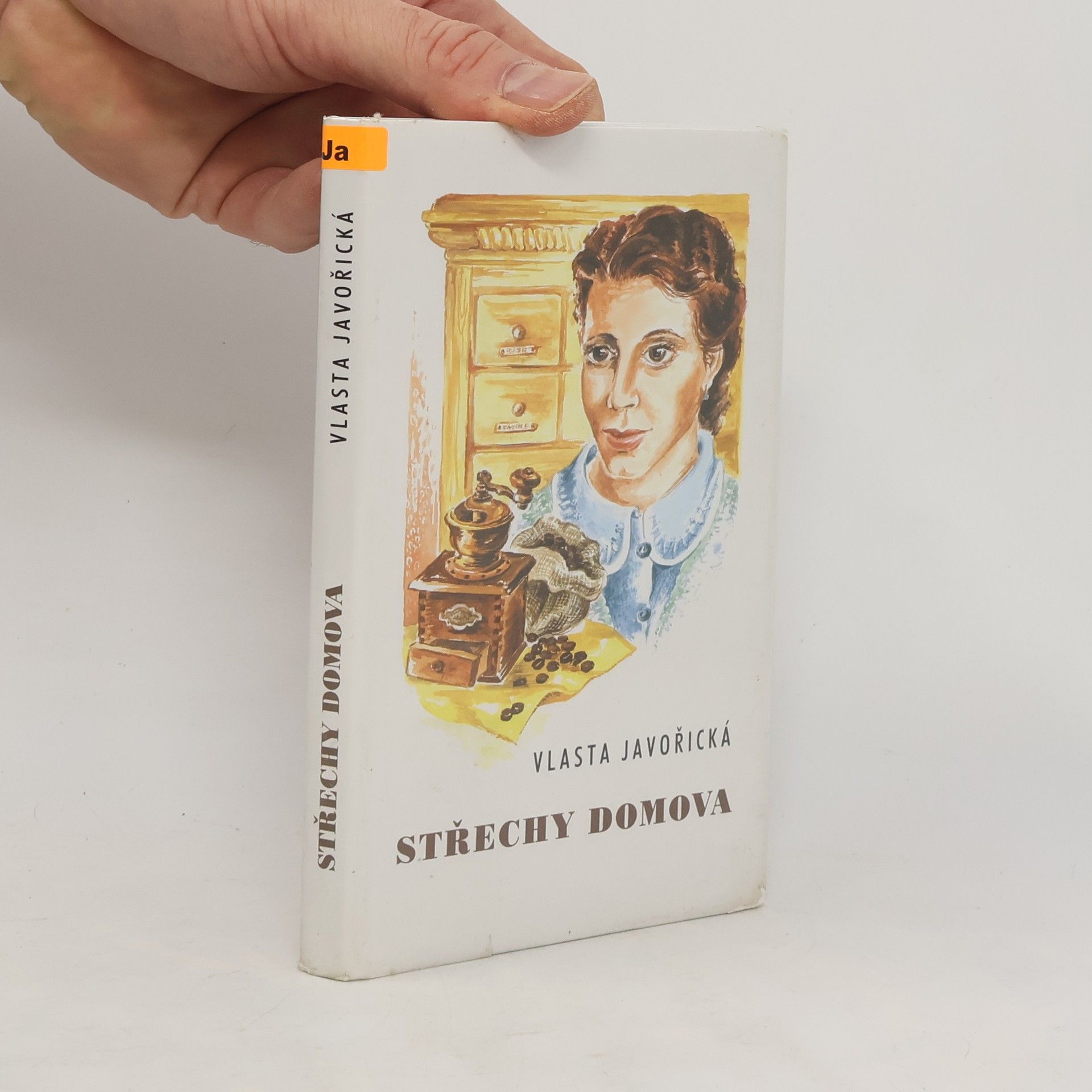Vlasta Javořická Střechy domova