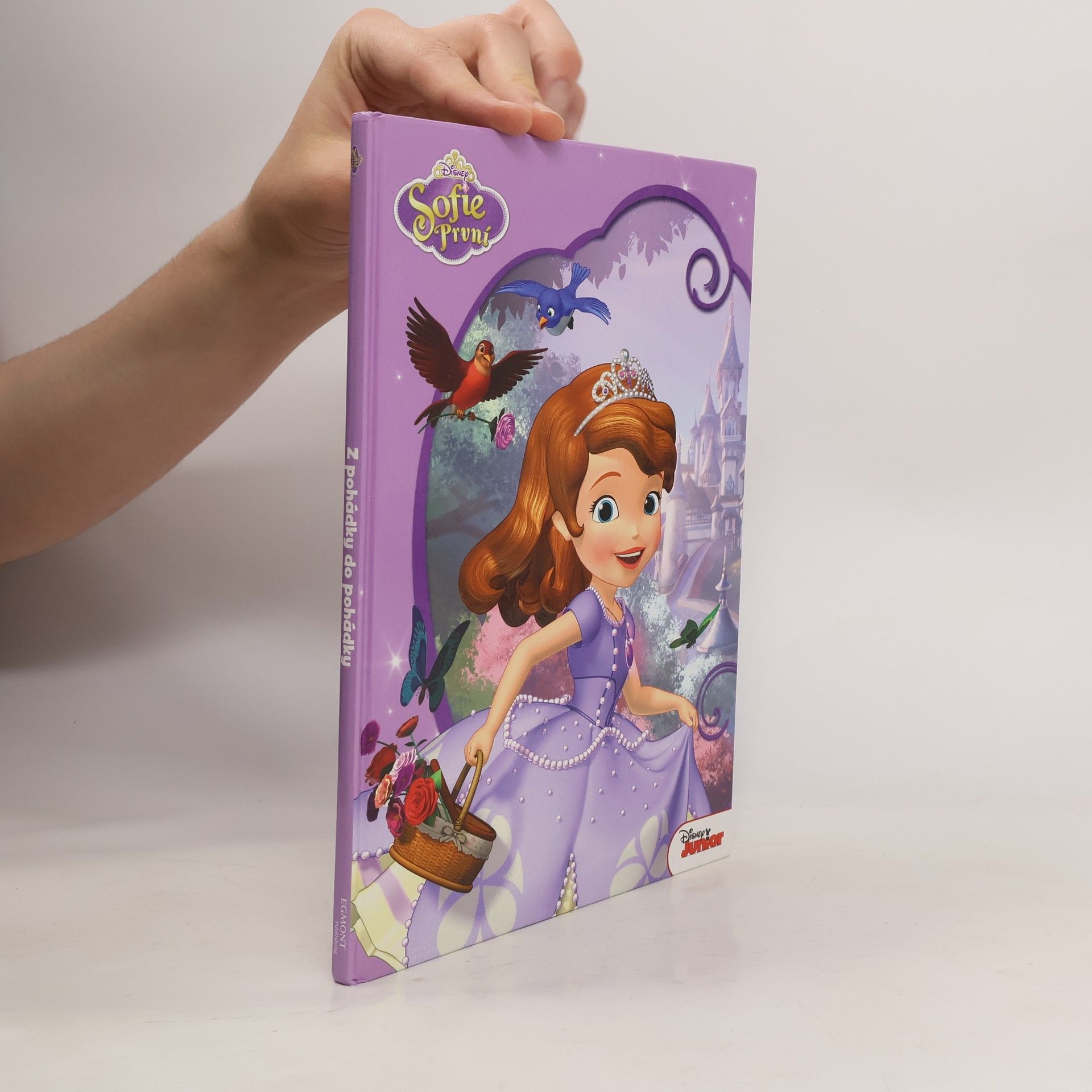 Kolektiv autorů Sofie První. Amulet a hymna