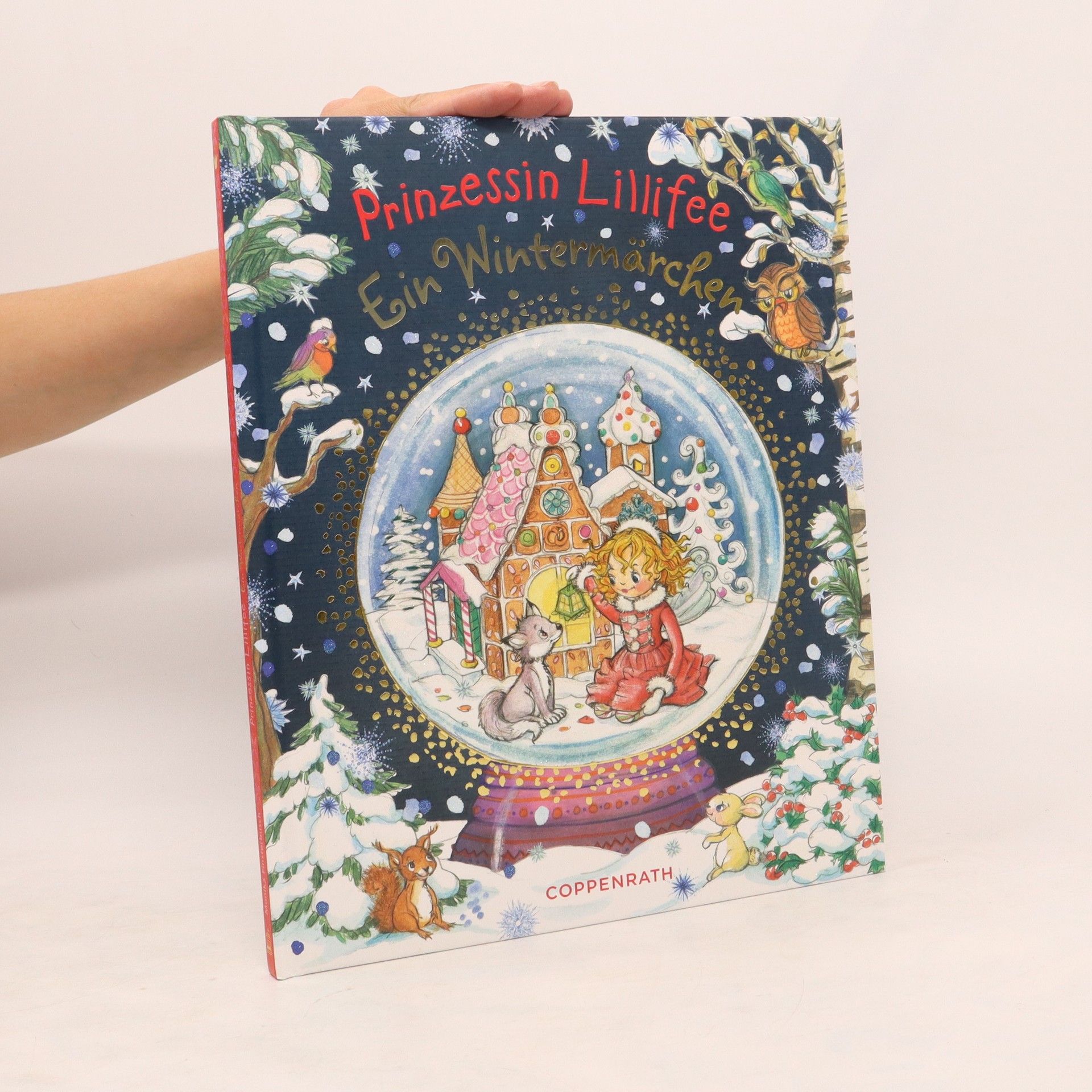 Monika Finsterbusch Prinzessin Lillifee - Ein Wintermärchen