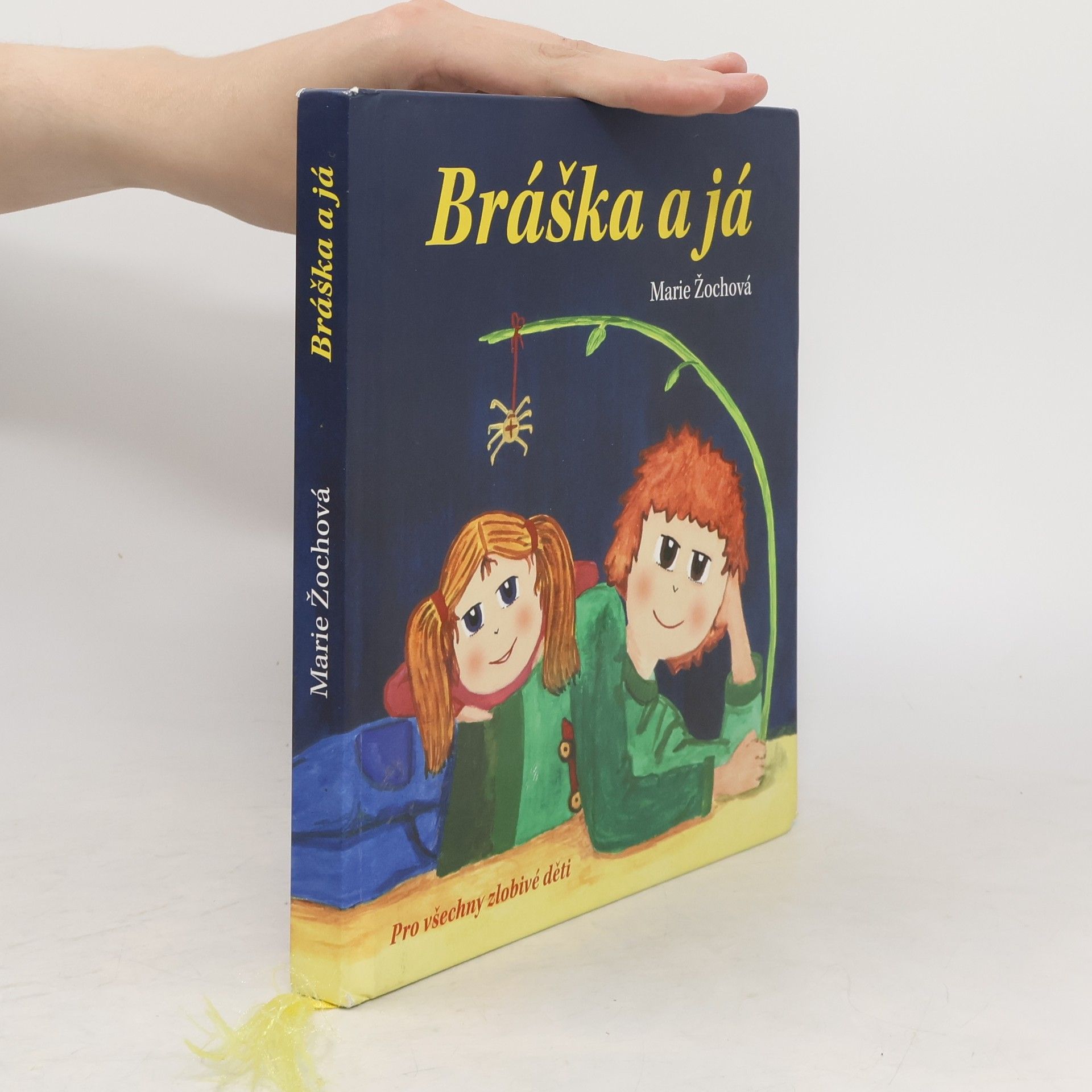 Marie Žochová Bráška a já