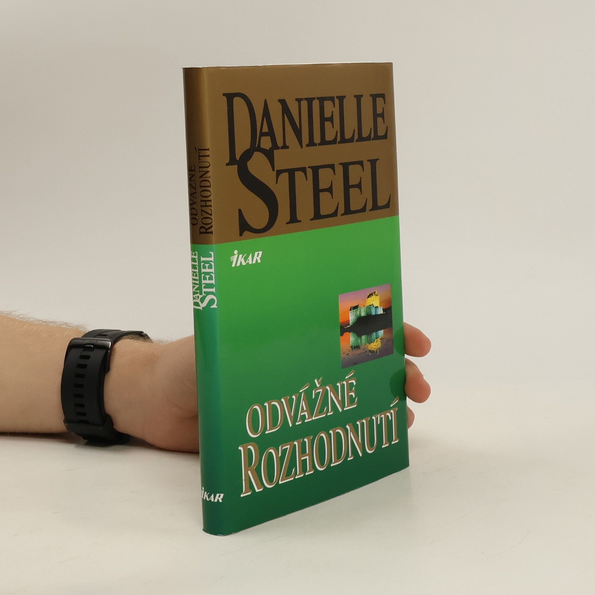 Danielle Steel Odvážné rozhodnutí