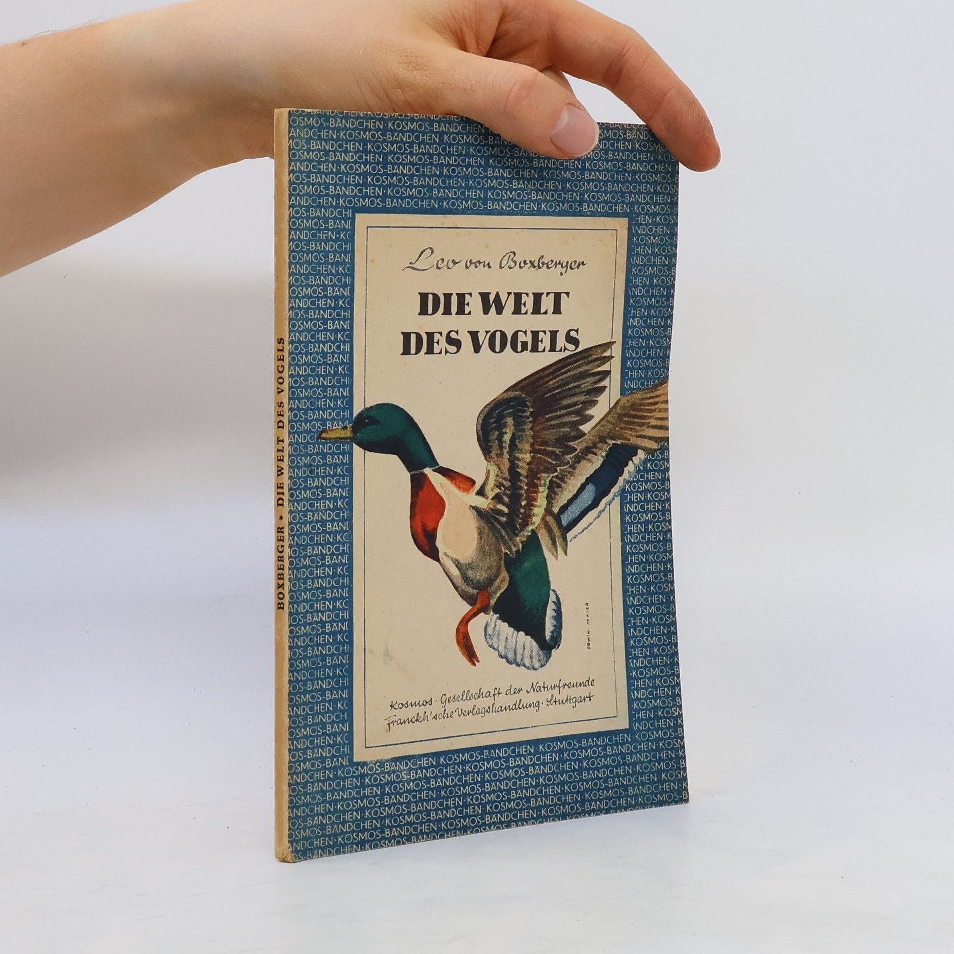 Leo von Boxberger Die Welt des Vogels