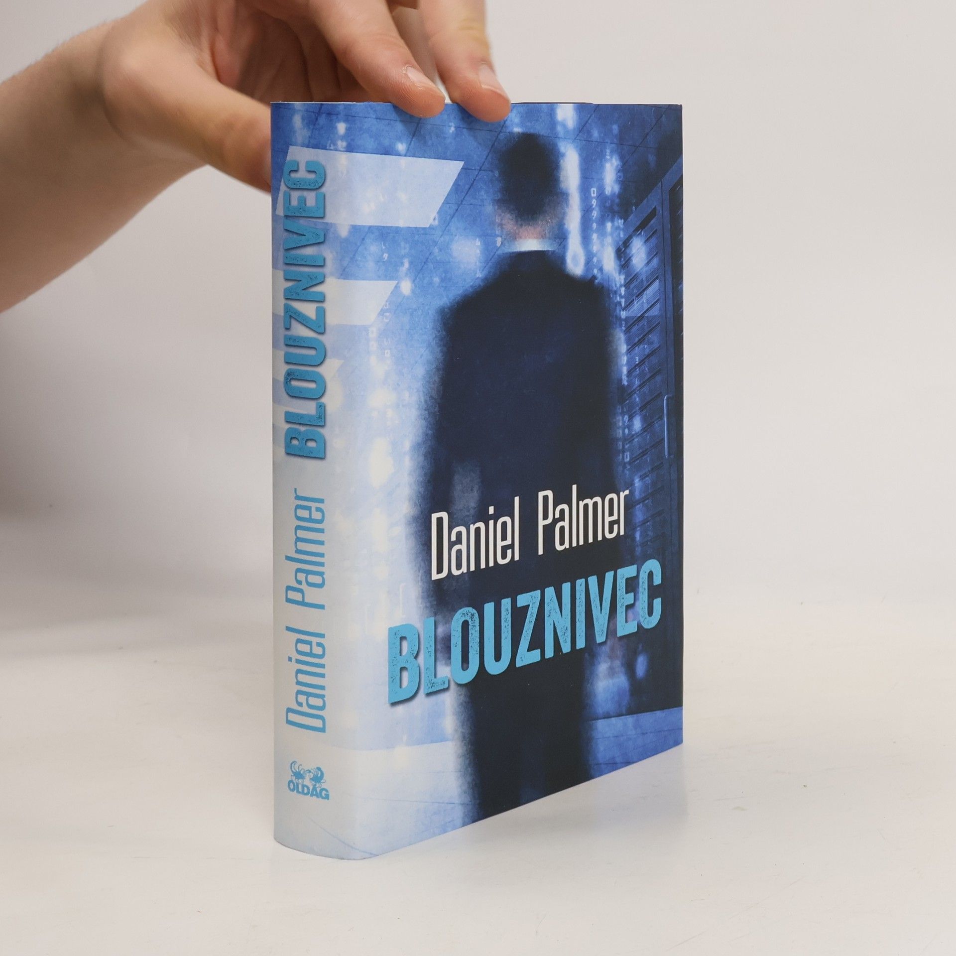 Daniel Palmer Blouznivec